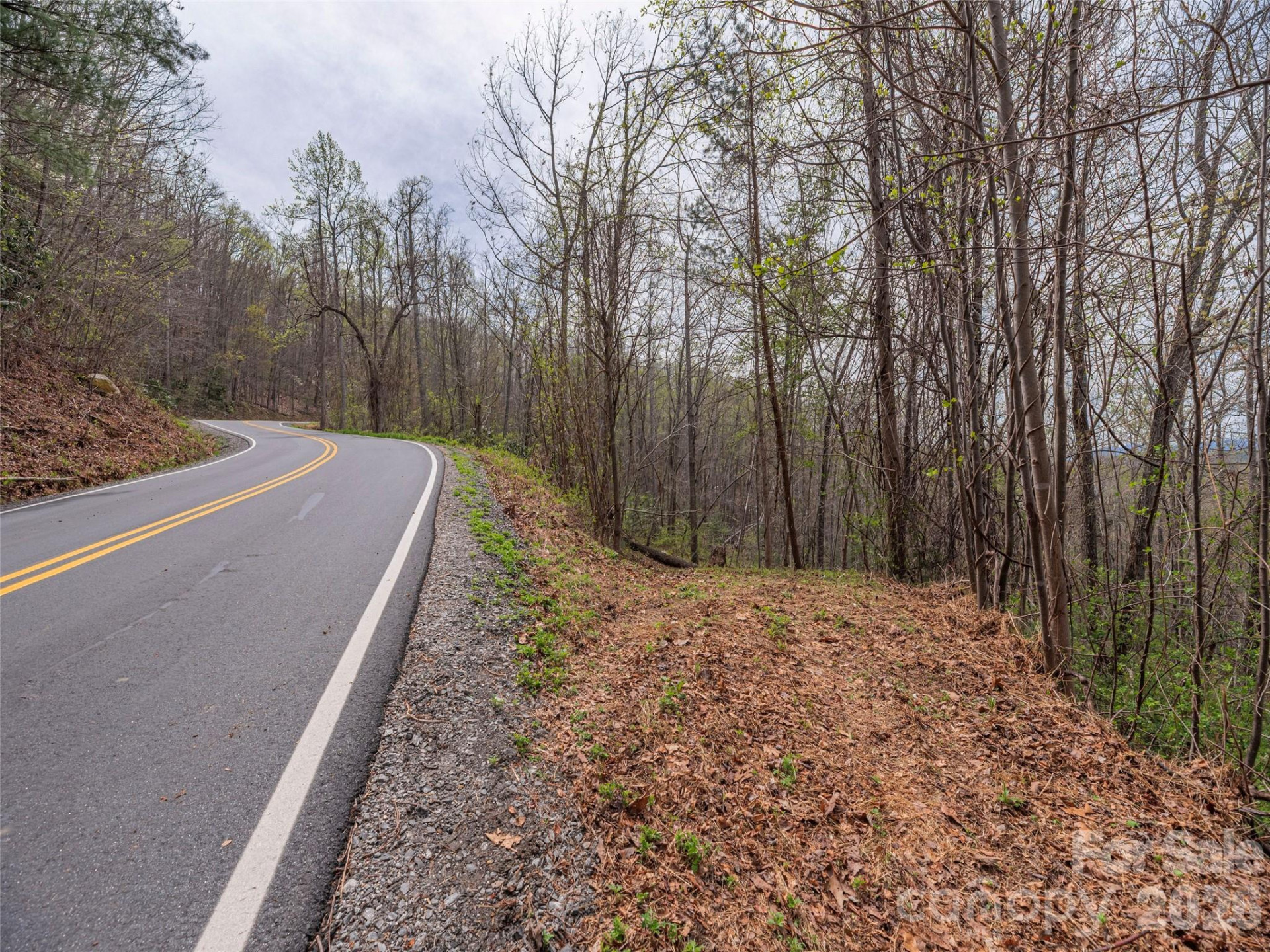 91 & 101 Cedar Mountain Road - Photo 2