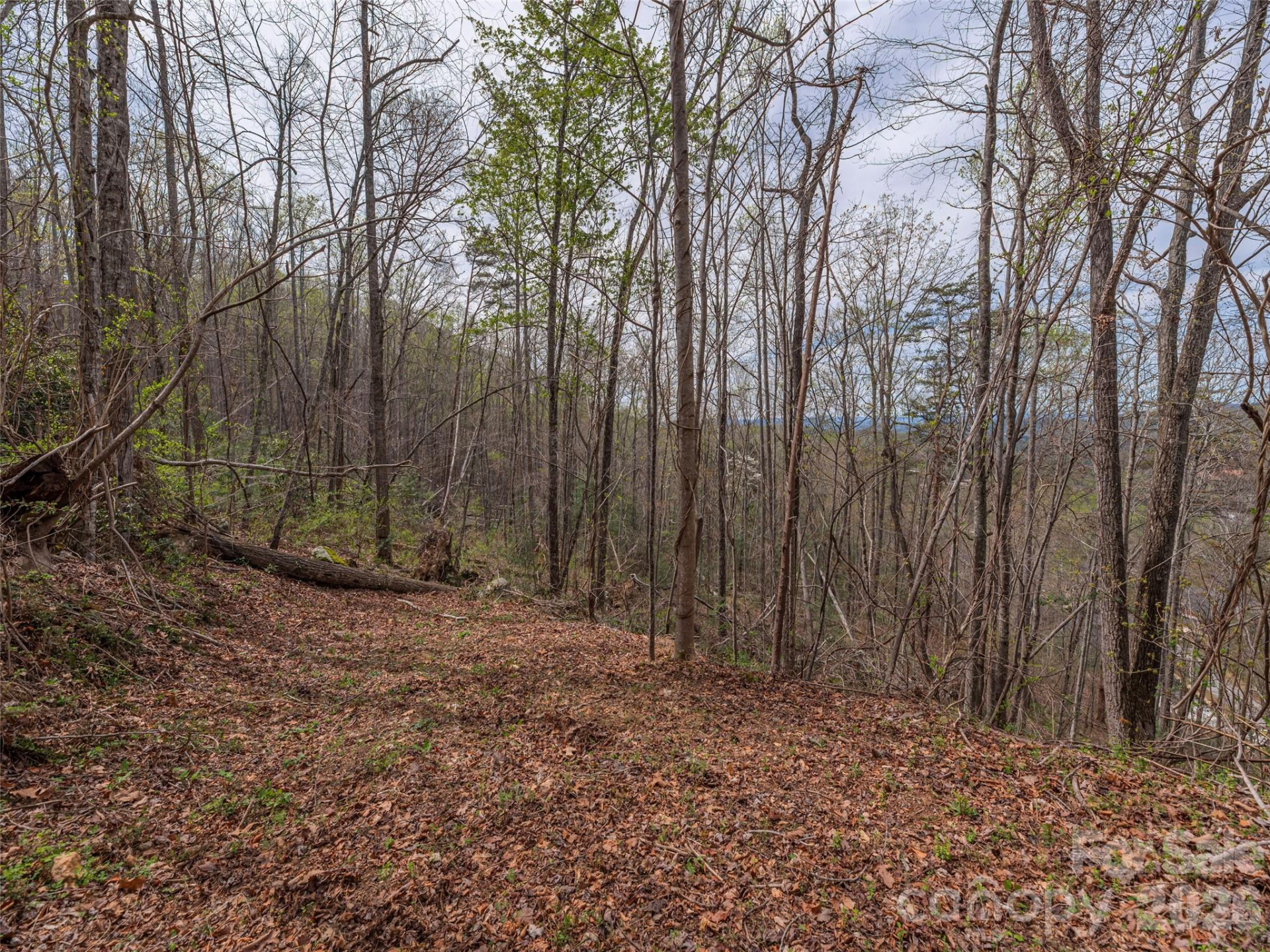 91 & 101 Cedar Mountain Road - Photo 3