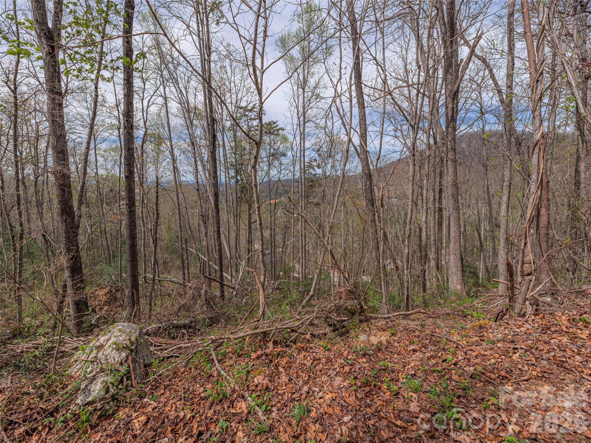 91 & 101 Cedar Mountain Road - Photo 4