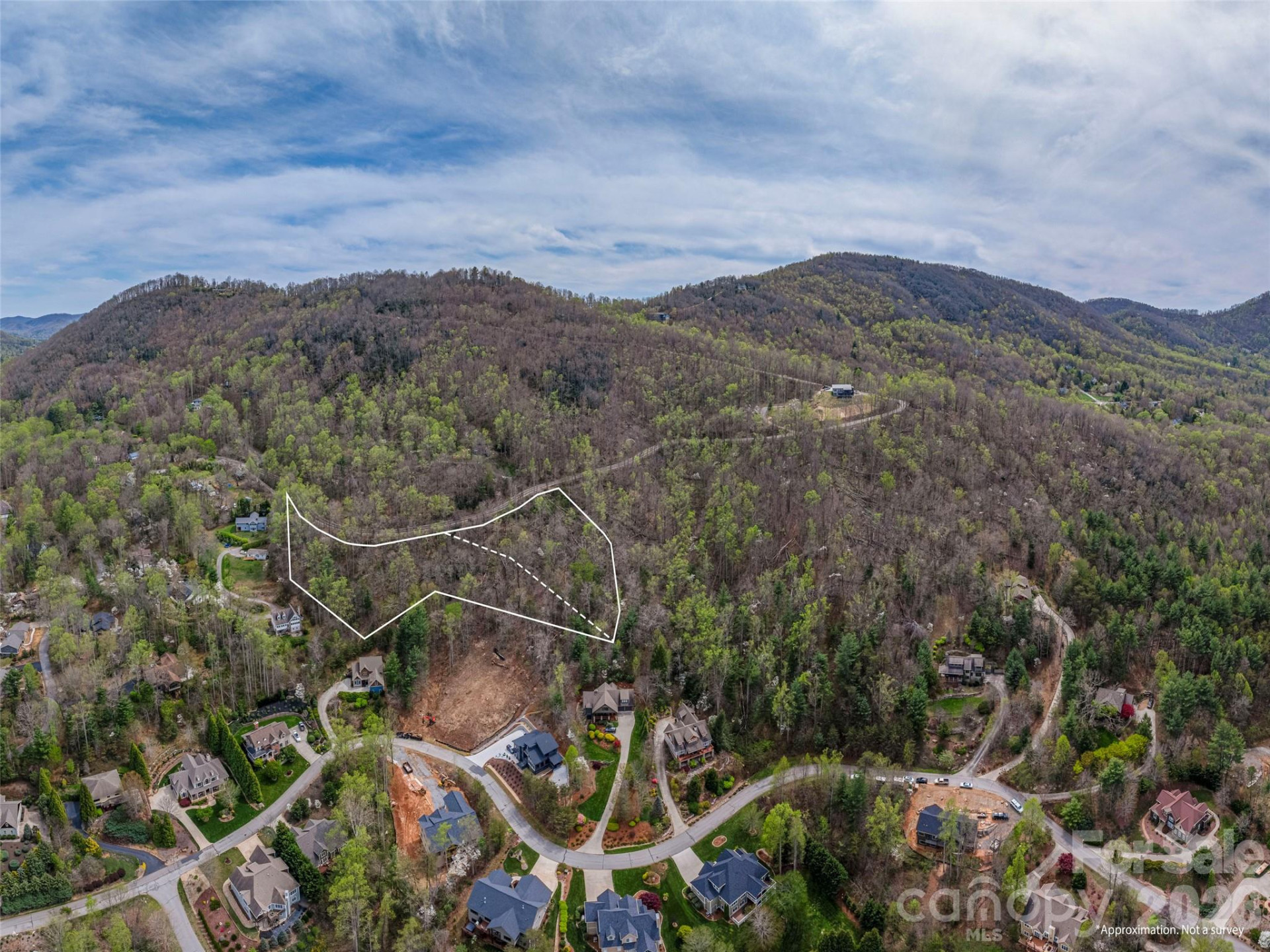 91 & 101 Cedar Mountain Road - Photo 7