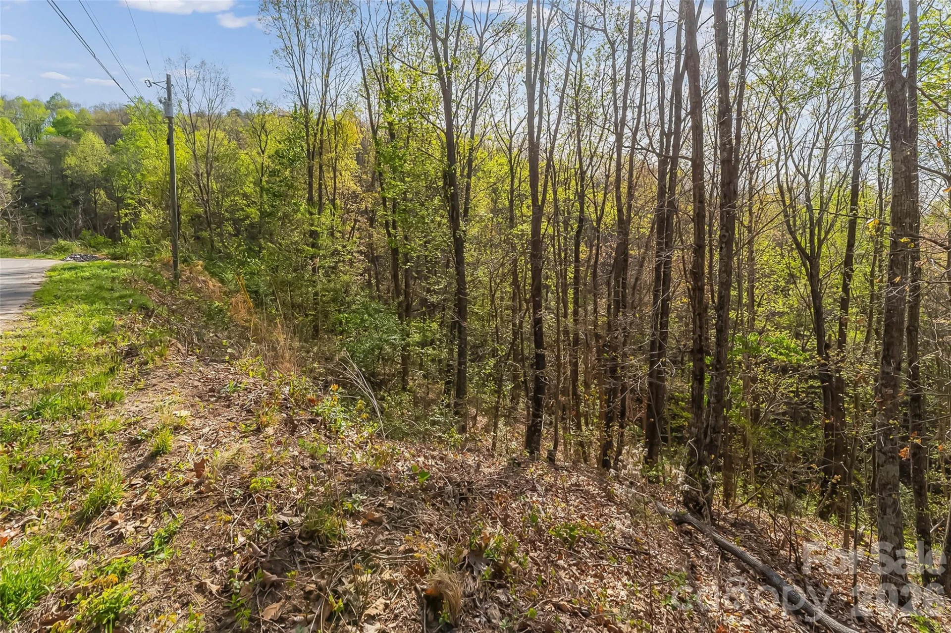 0 High Peak Mountain Road - Photo 11
