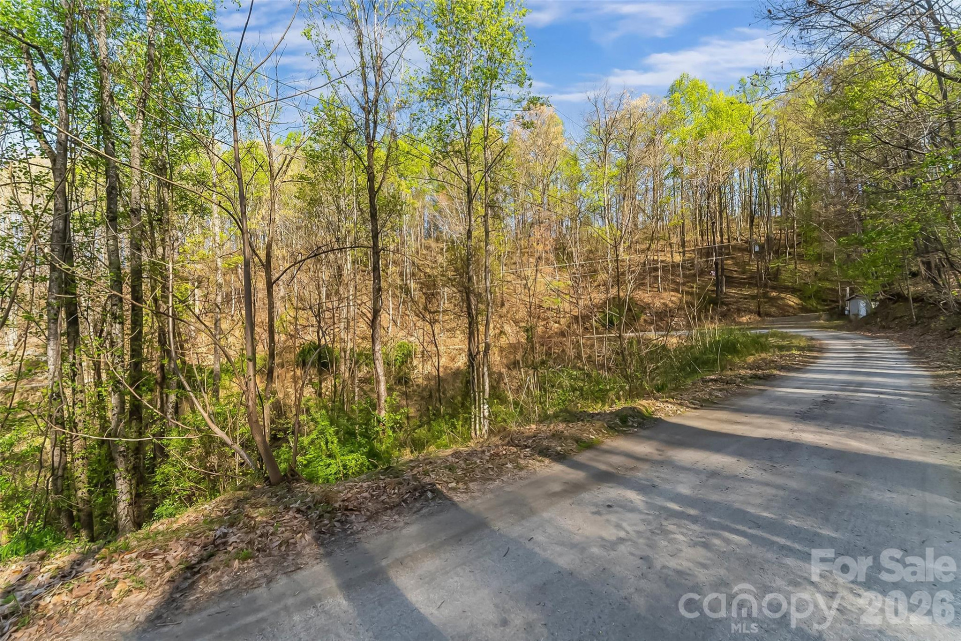 0 High Peak Mountain Road - Photo 12