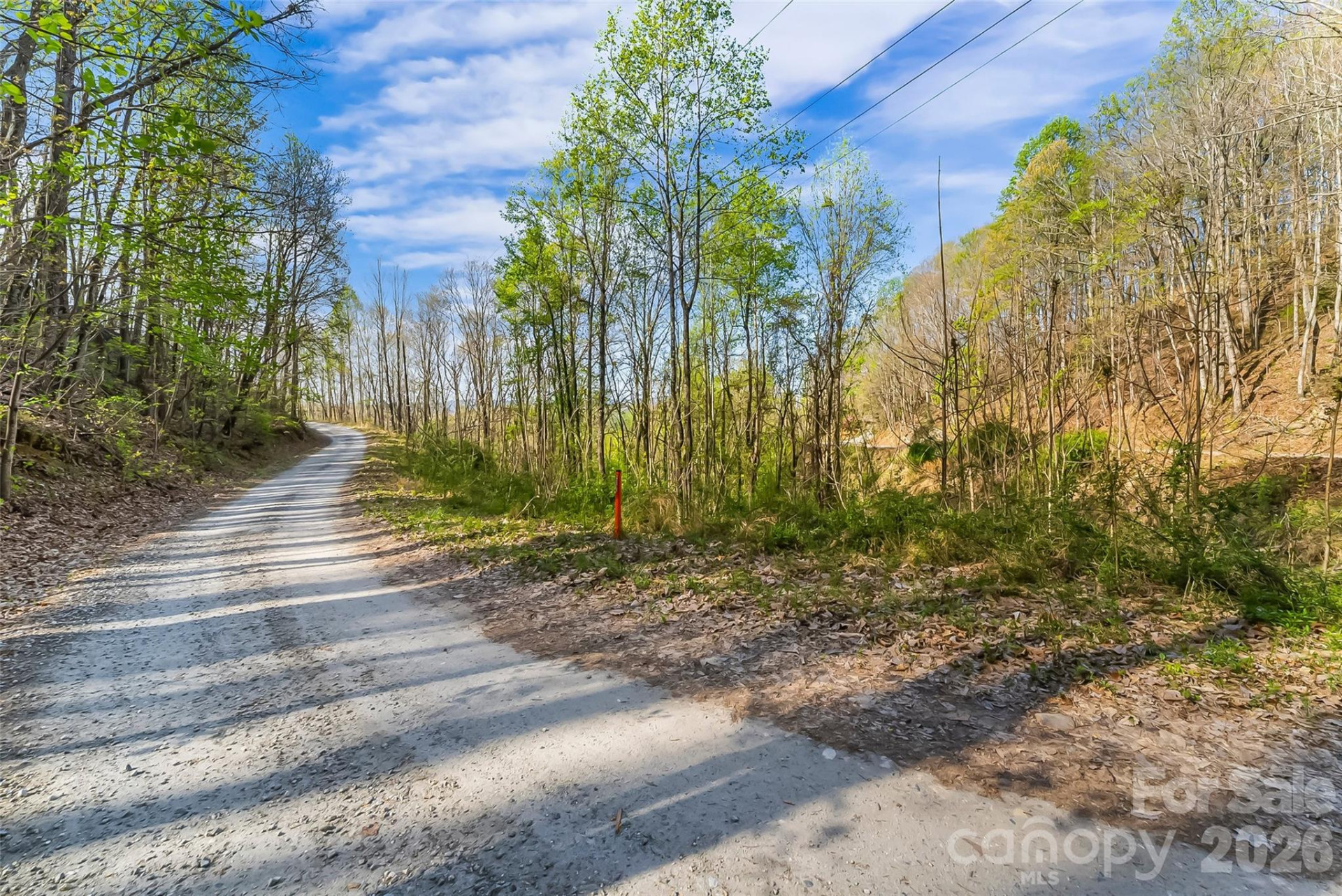 0 High Peak Mountain Road - Photo 14