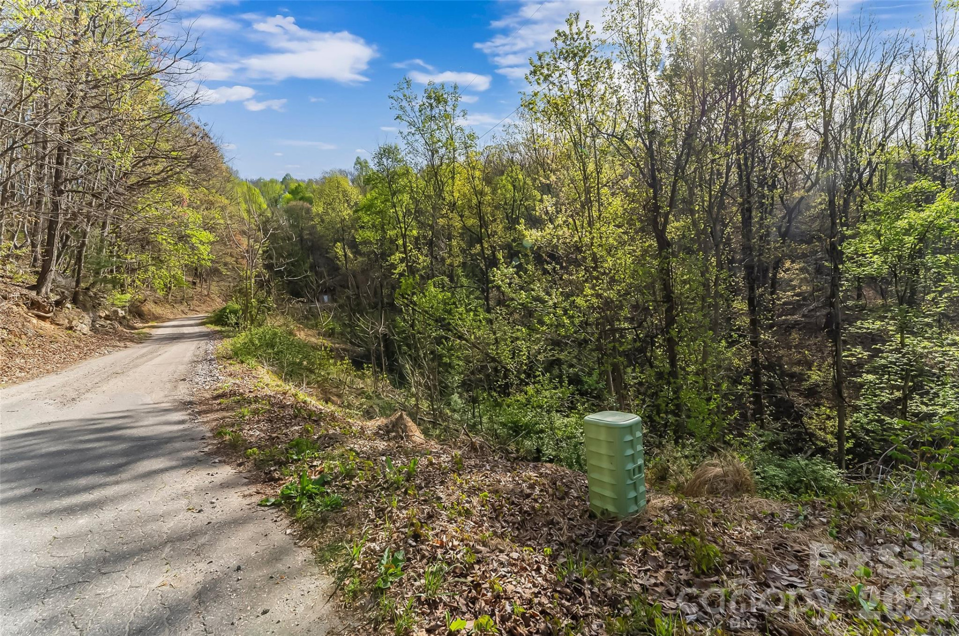 0 High Peak Mountain Road - Photo 15