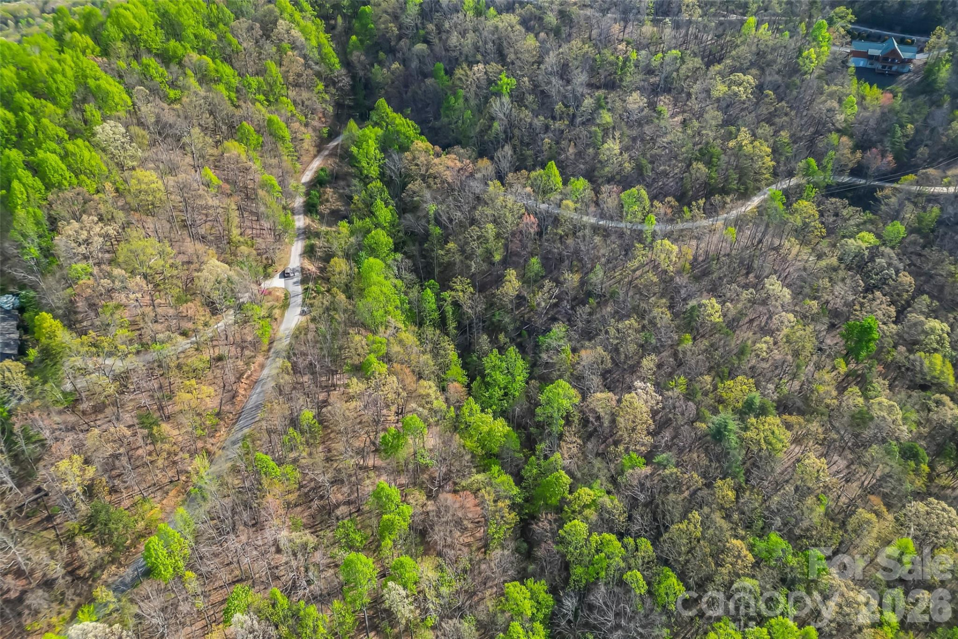 0 High Peak Mountain Road - Photo 9