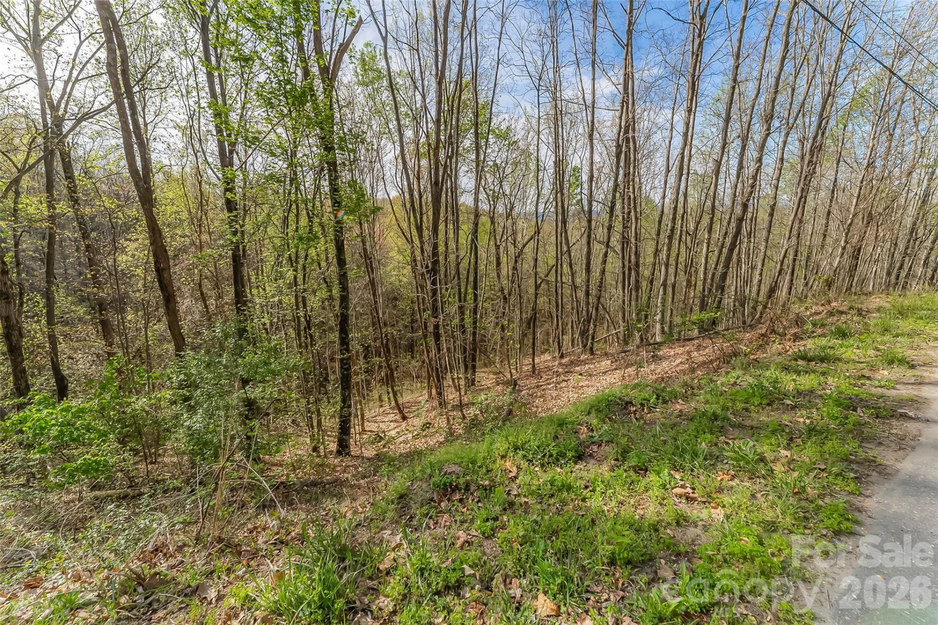 0 High Peak Mountain Road - Photo 10