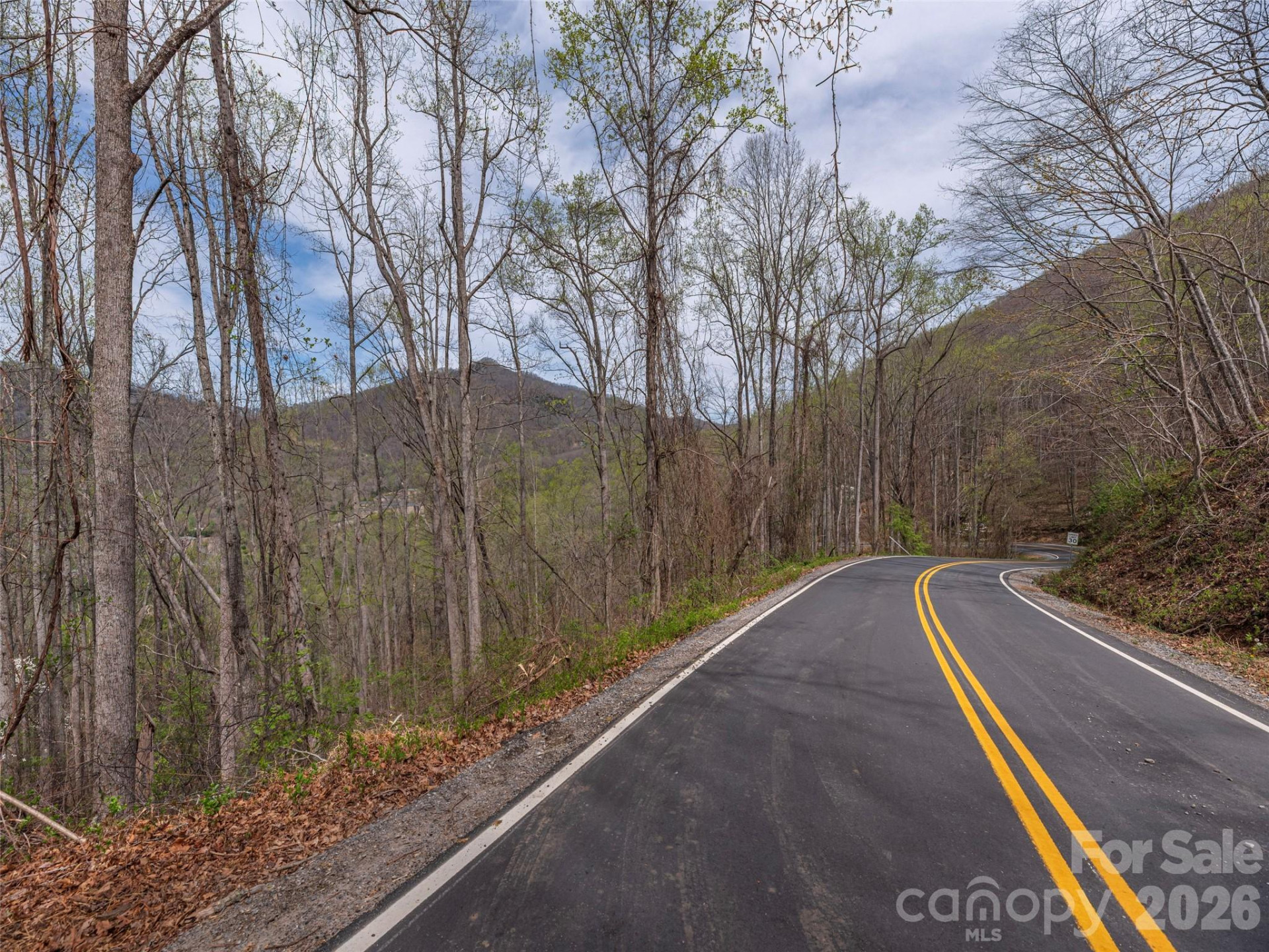 111 & 125 Cedar Mountain Road - Photo 2