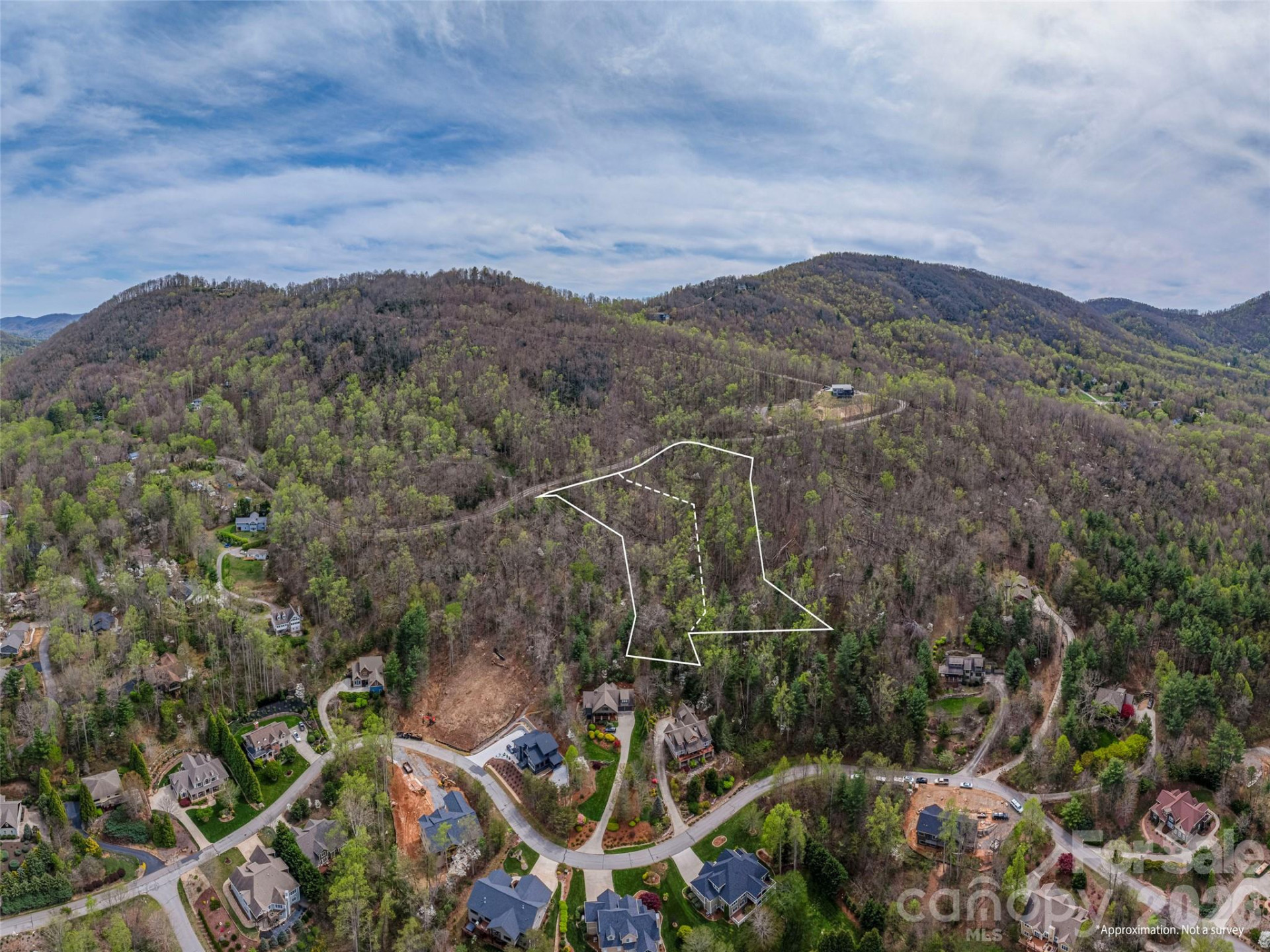 111 & 125 Cedar Mountain Road - Photo 11