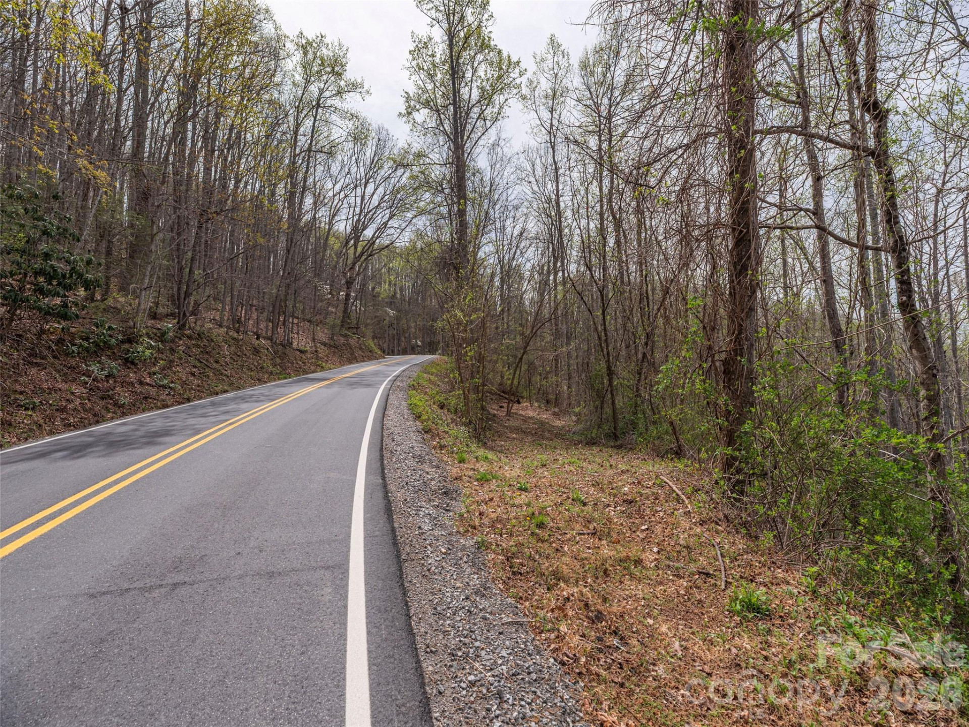 111 & 125 Cedar Mountain Road - Photo 3