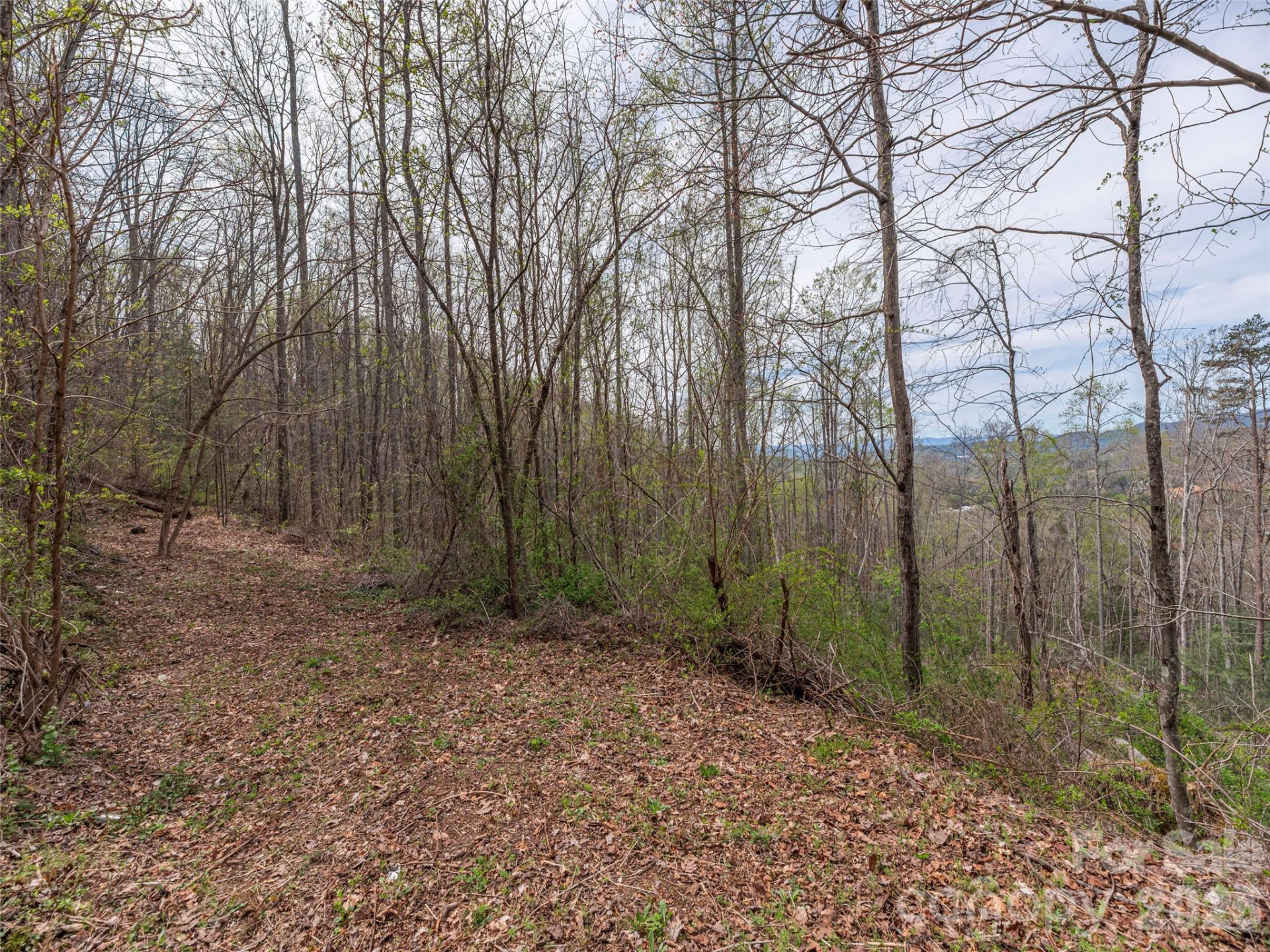 111 & 125 Cedar Mountain Road - Photo 4