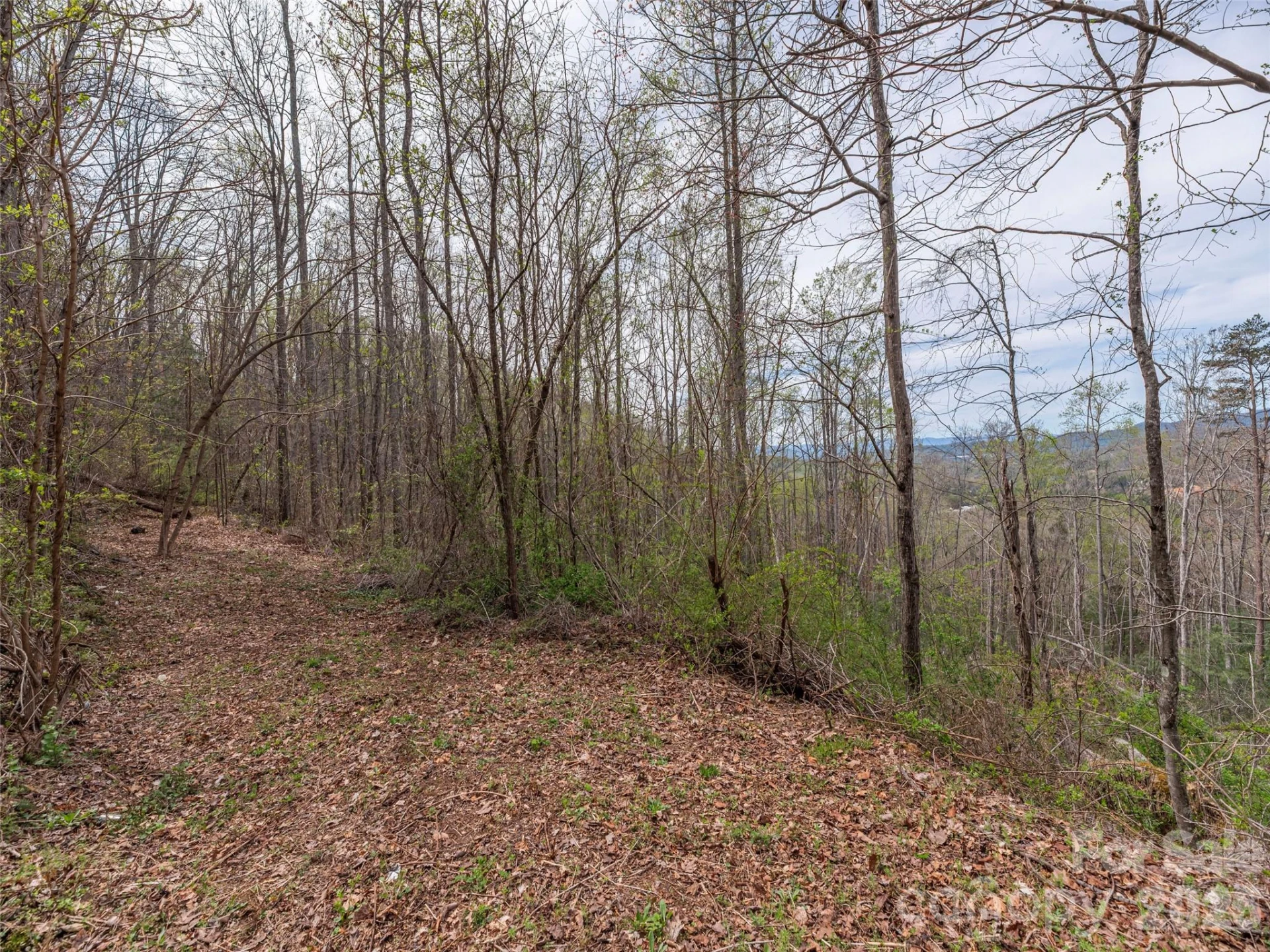 111 & 125 Cedar Mountain Road - Photo 4