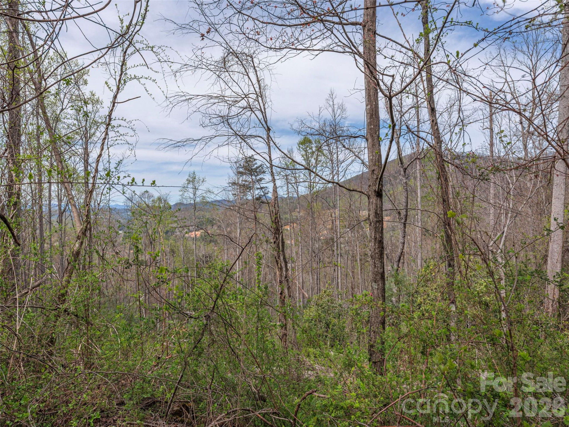 111 & 125 Cedar Mountain Road - Photo 5