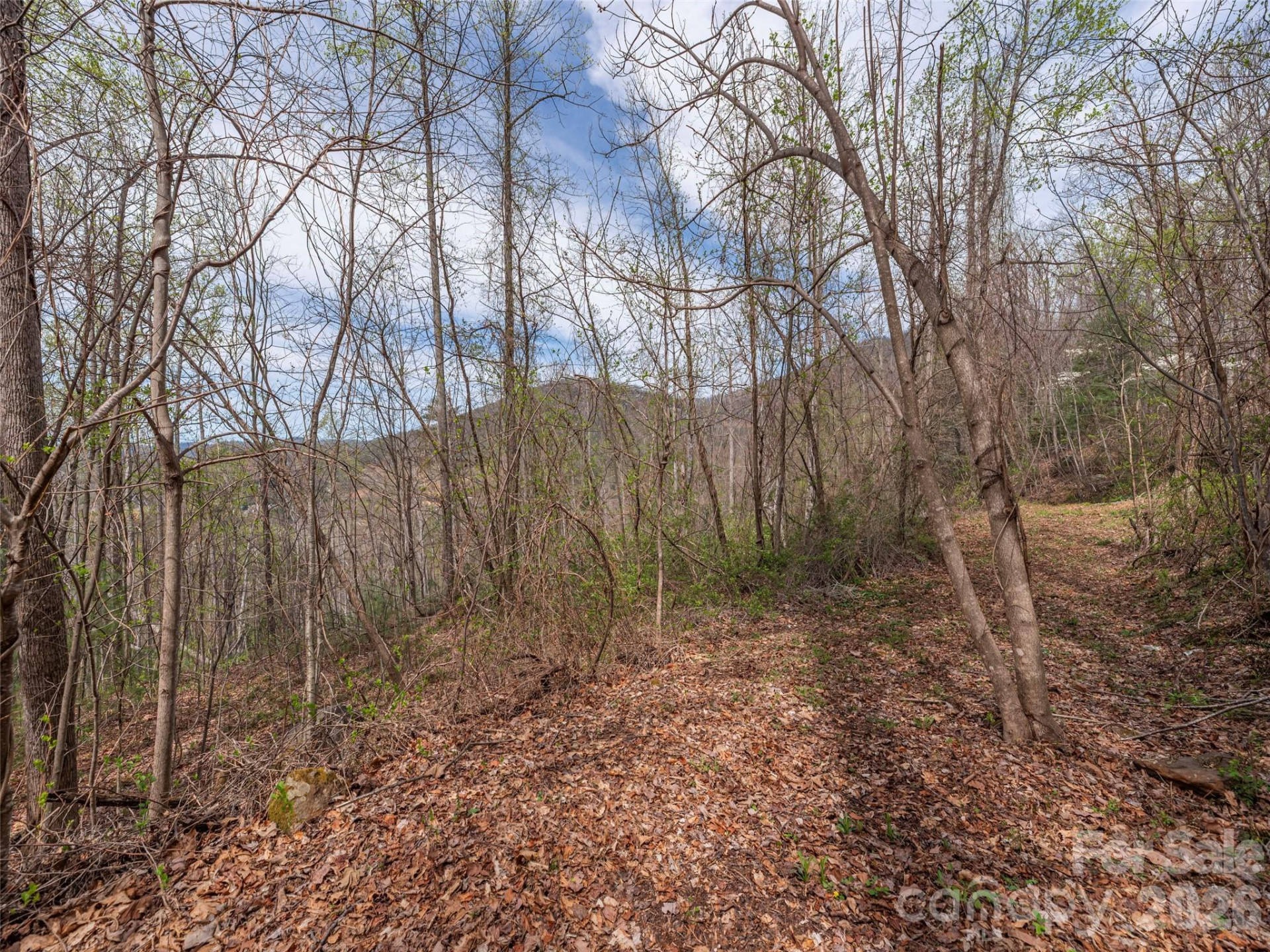 111 & 125 Cedar Mountain Road - Photo 6