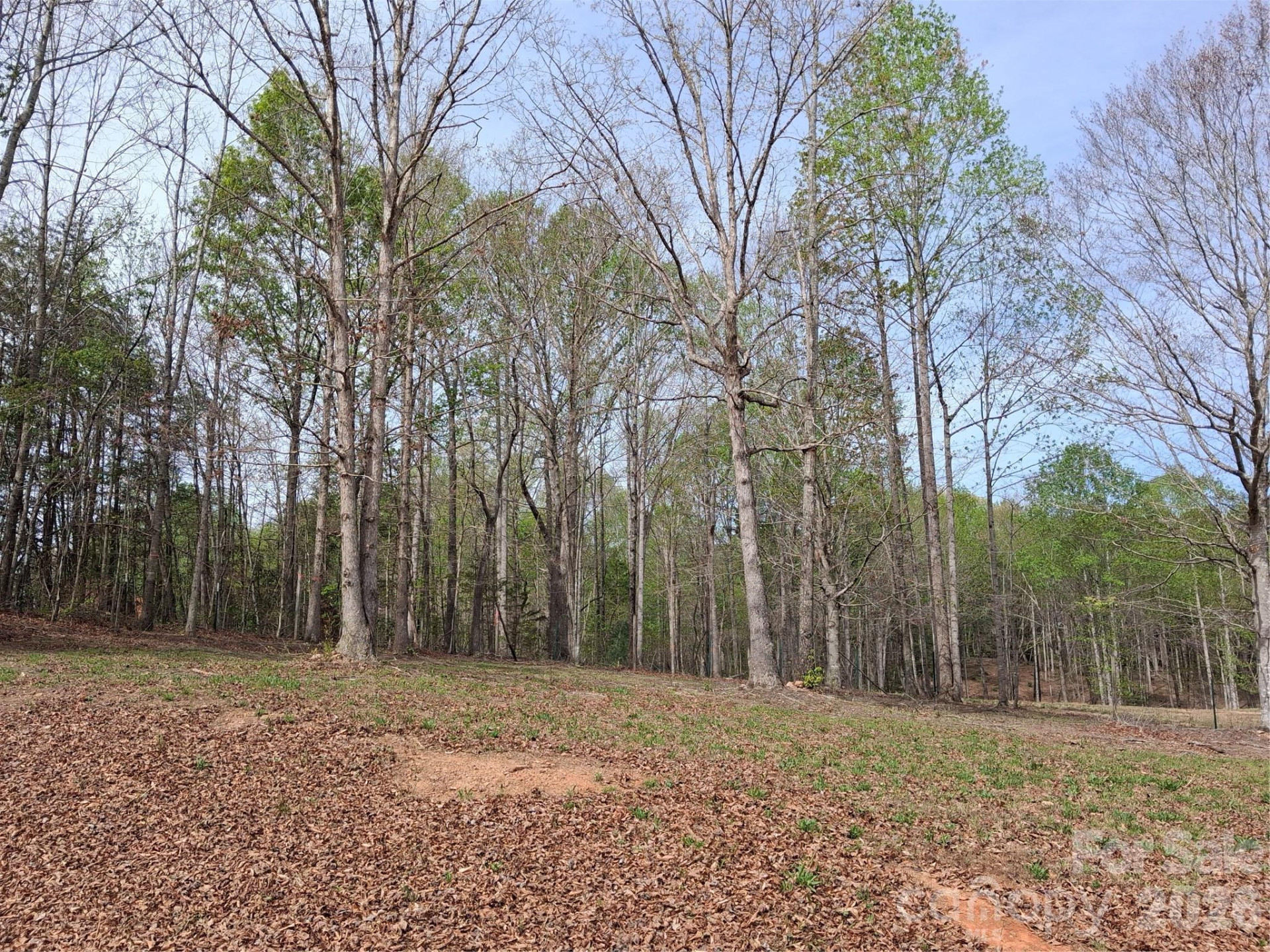 57 Hazel Drive #8-9 - Photo 3