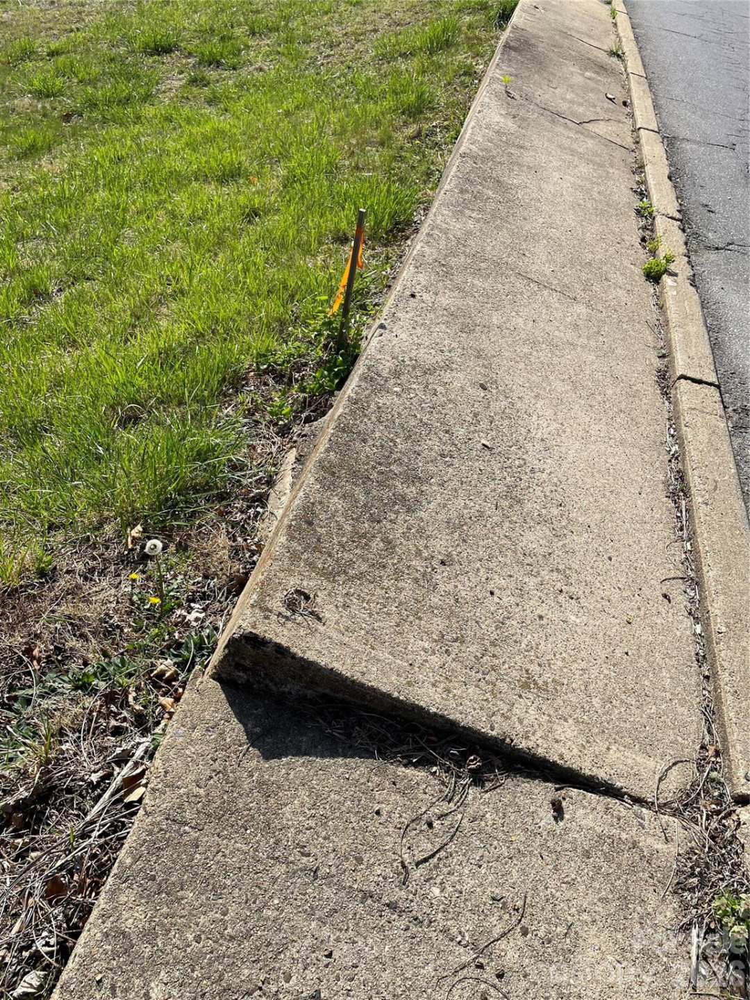 00 Locust Street - Photo 3