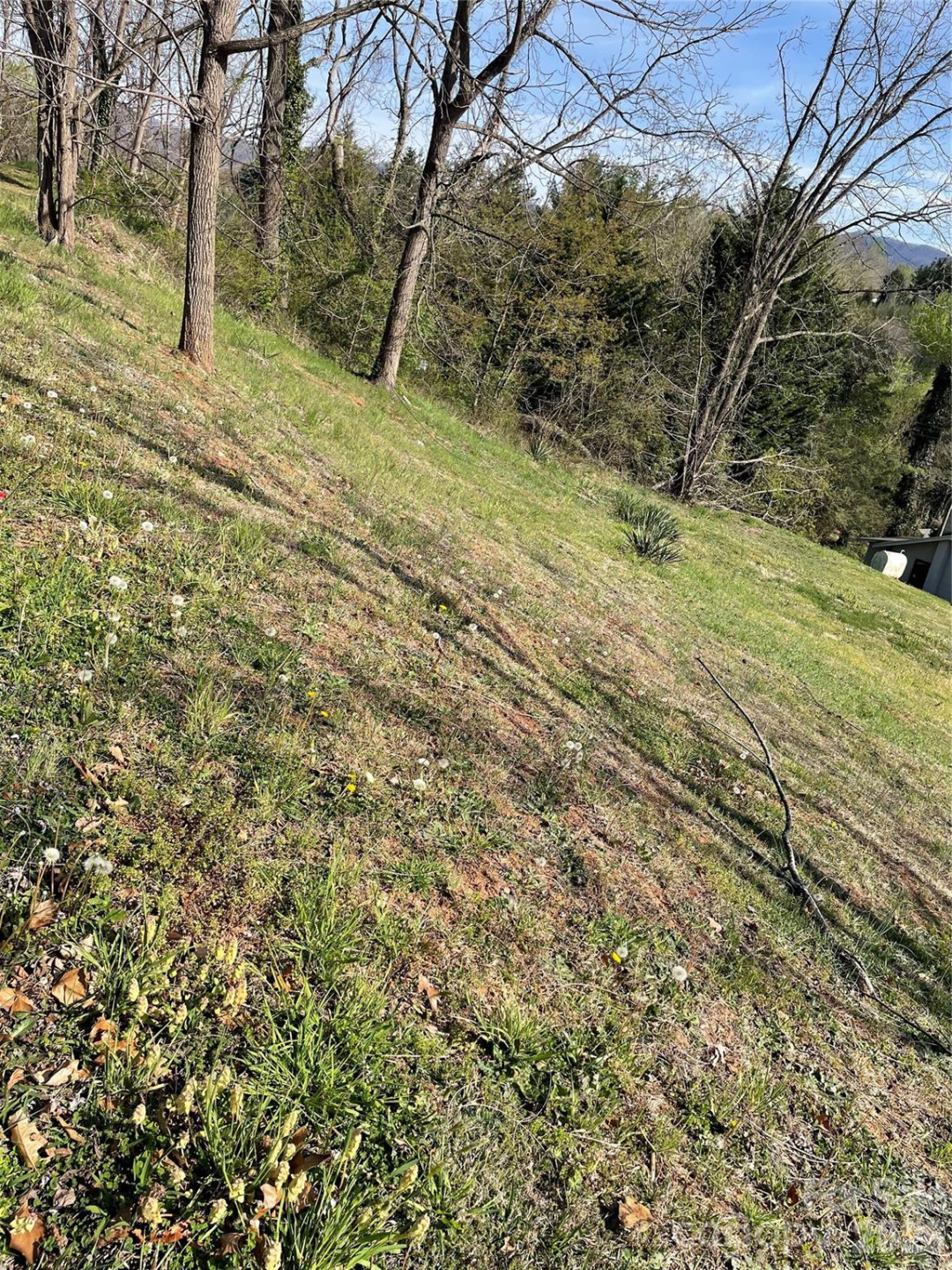 00 Locust Street - Photo 4