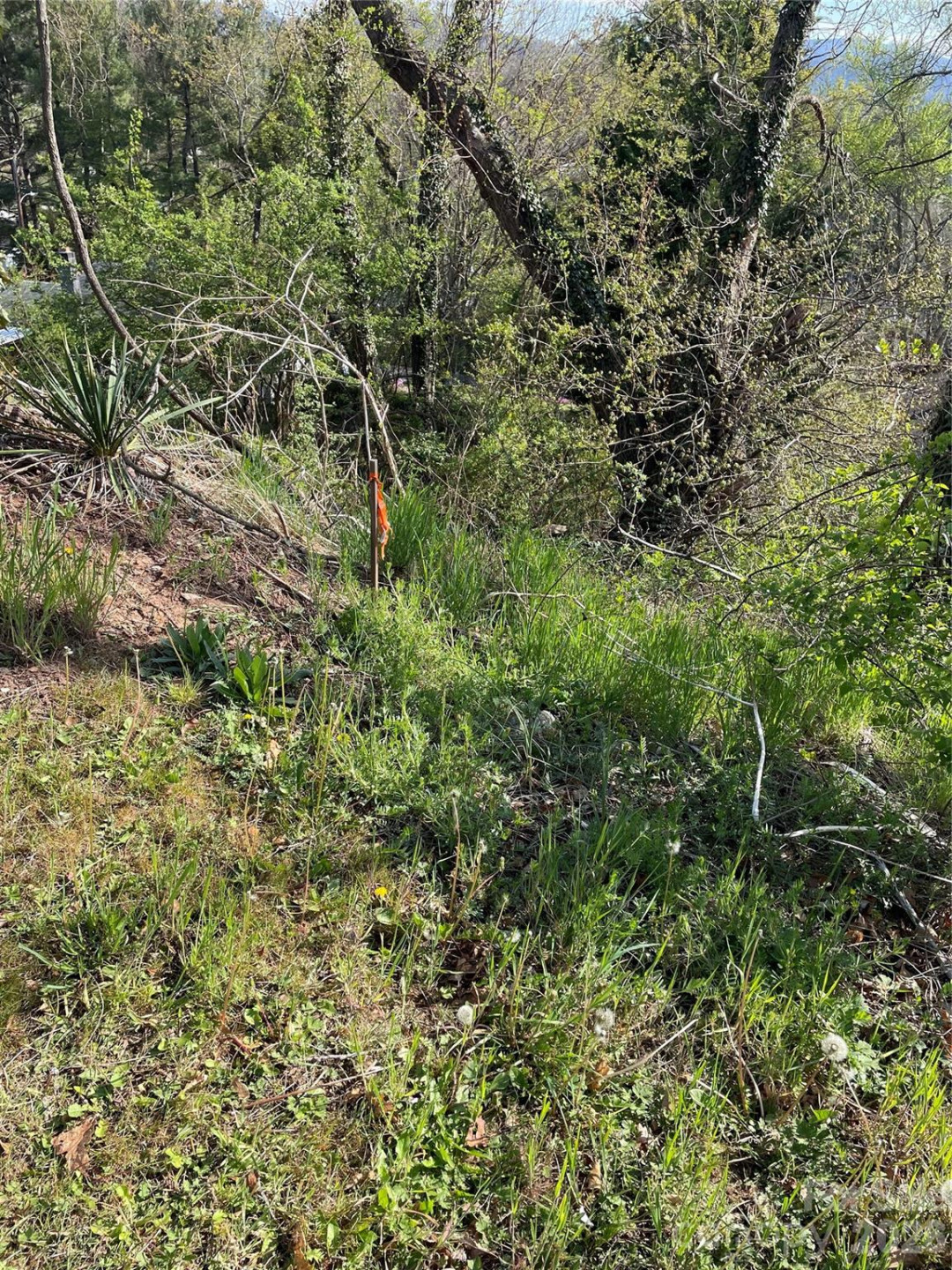 00 Locust Street - Photo 5