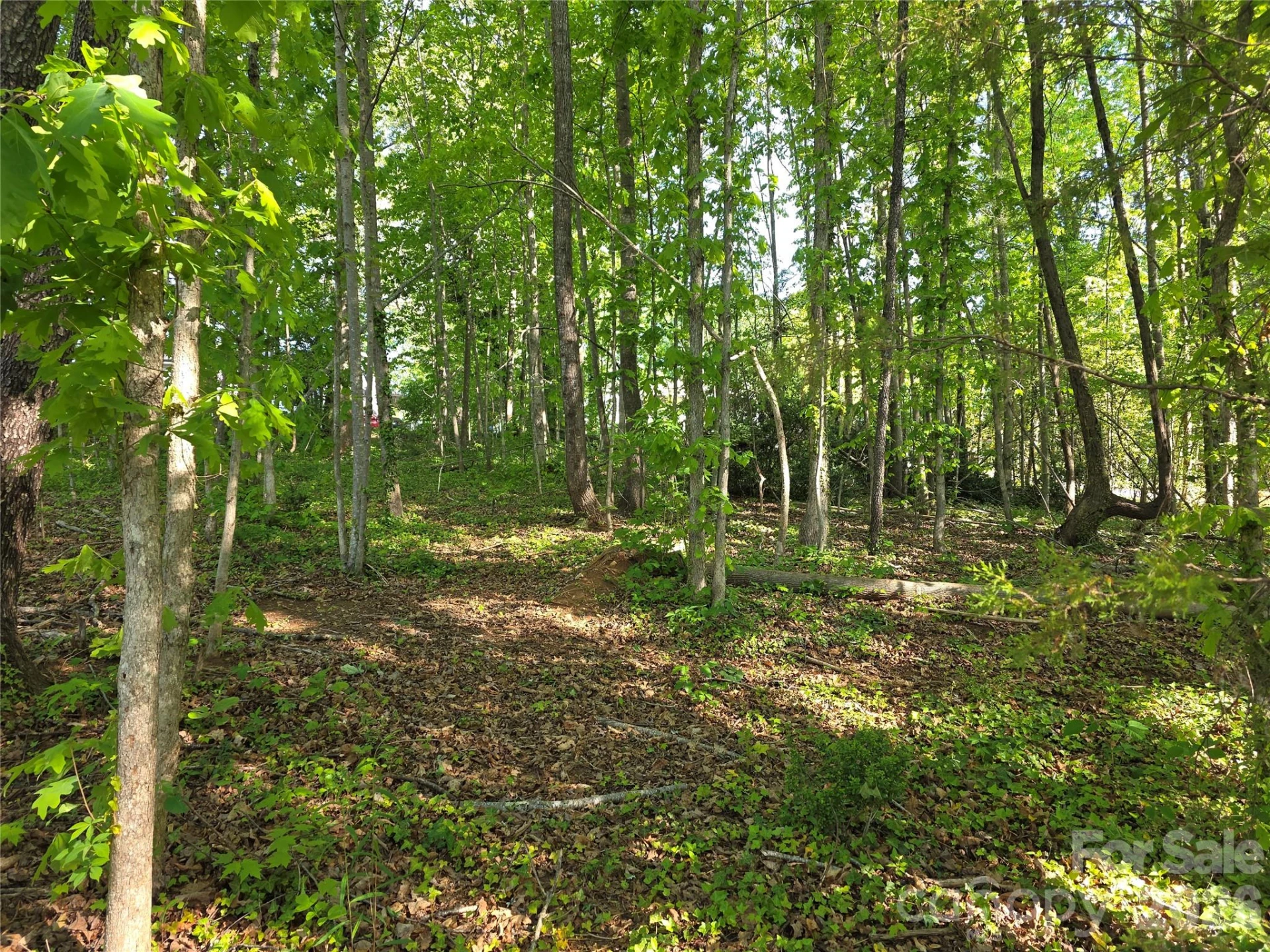 55 Cypress Road - Photo 34
