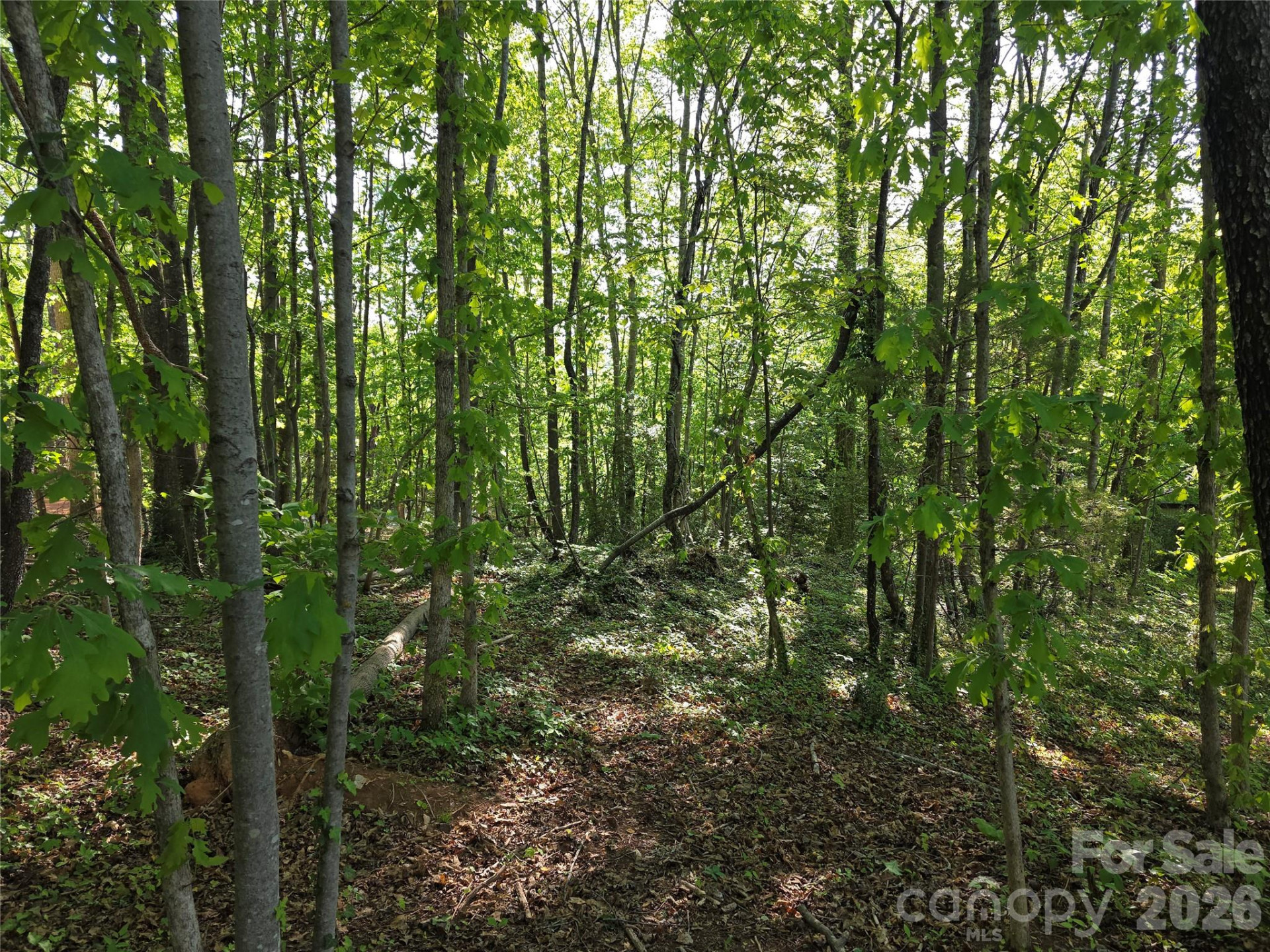 55 Cypress Road - Photo 36