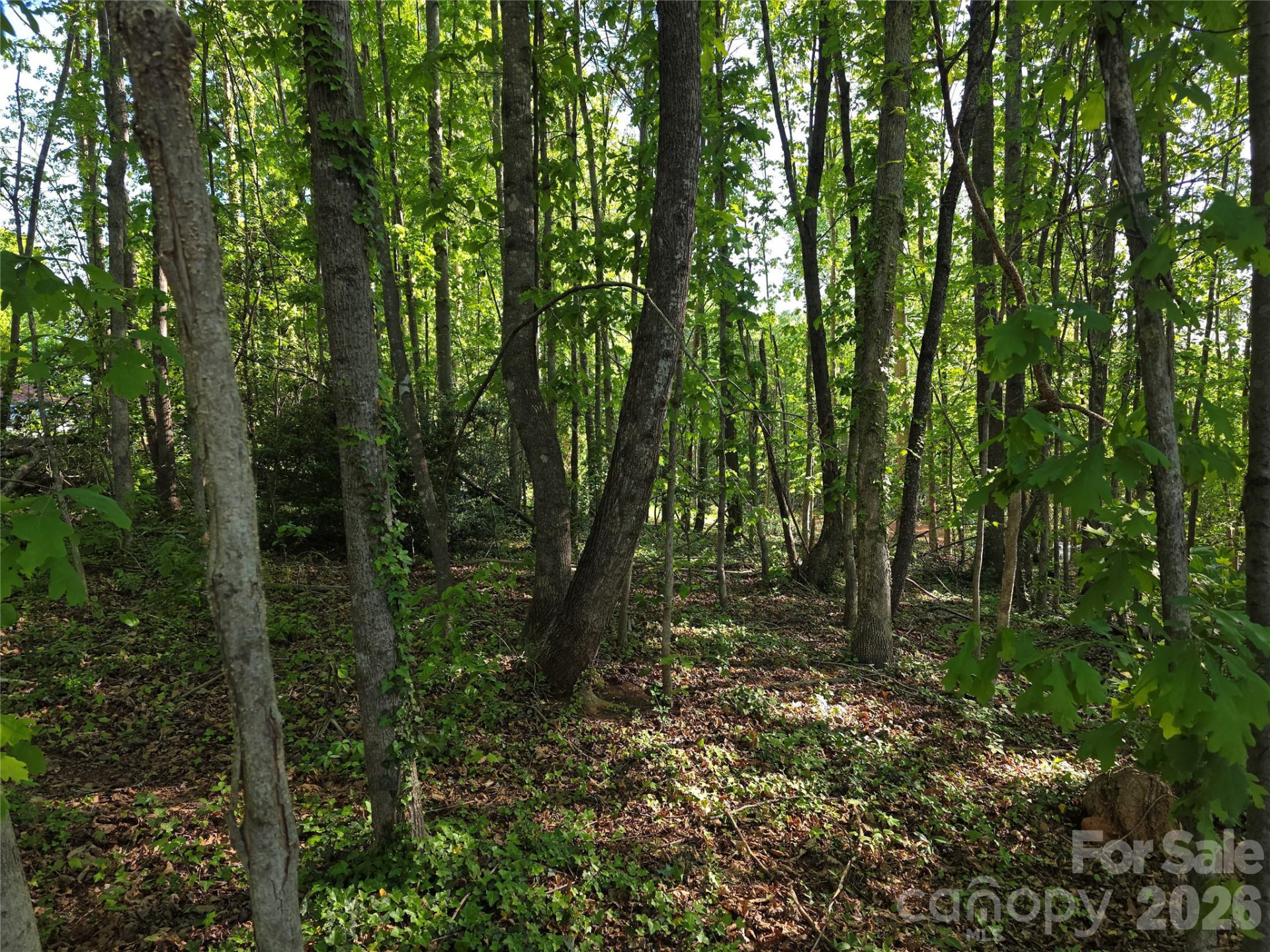 55 Cypress Road - Photo 37