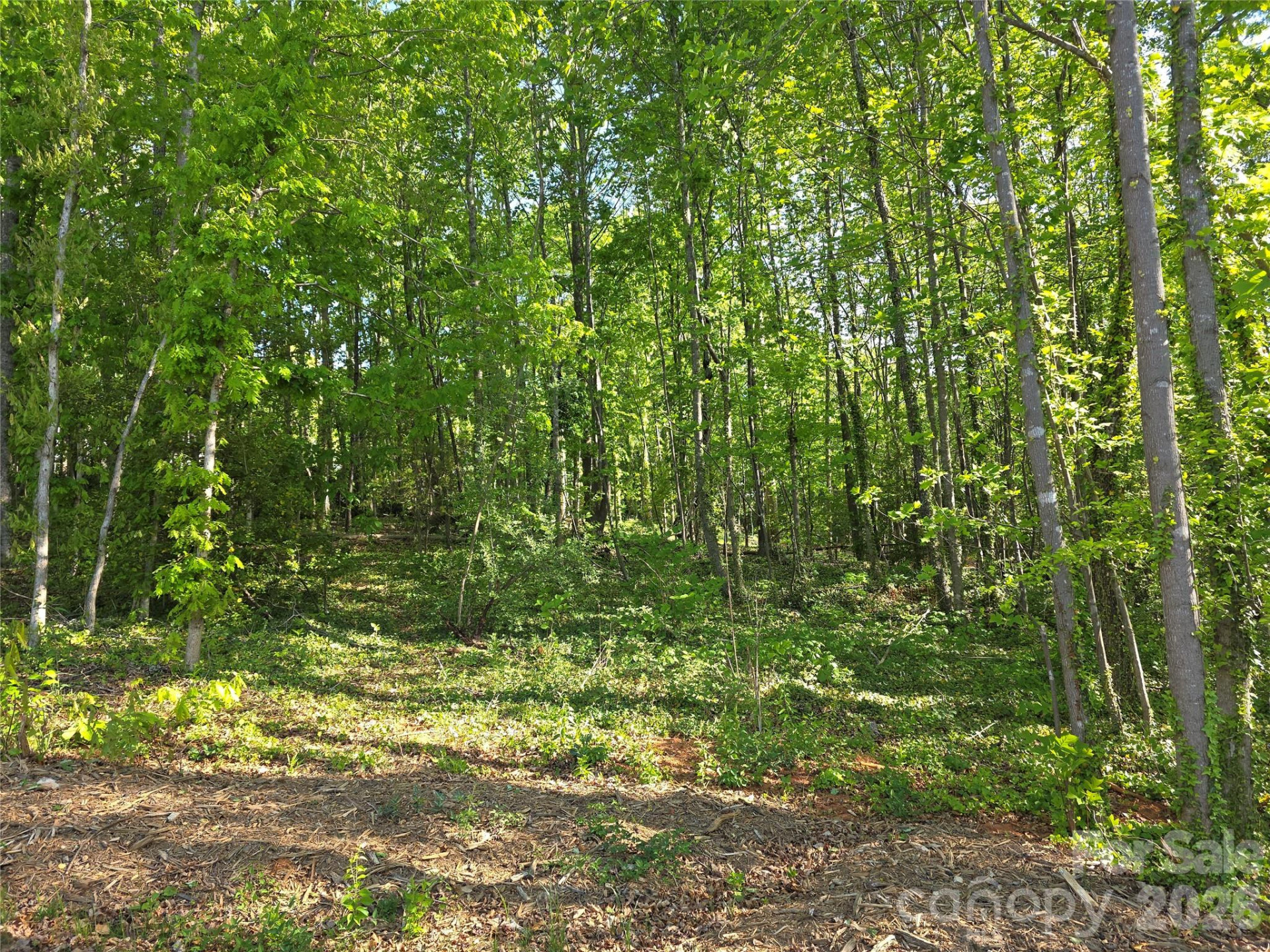 55 Cypress Road - Photo 38