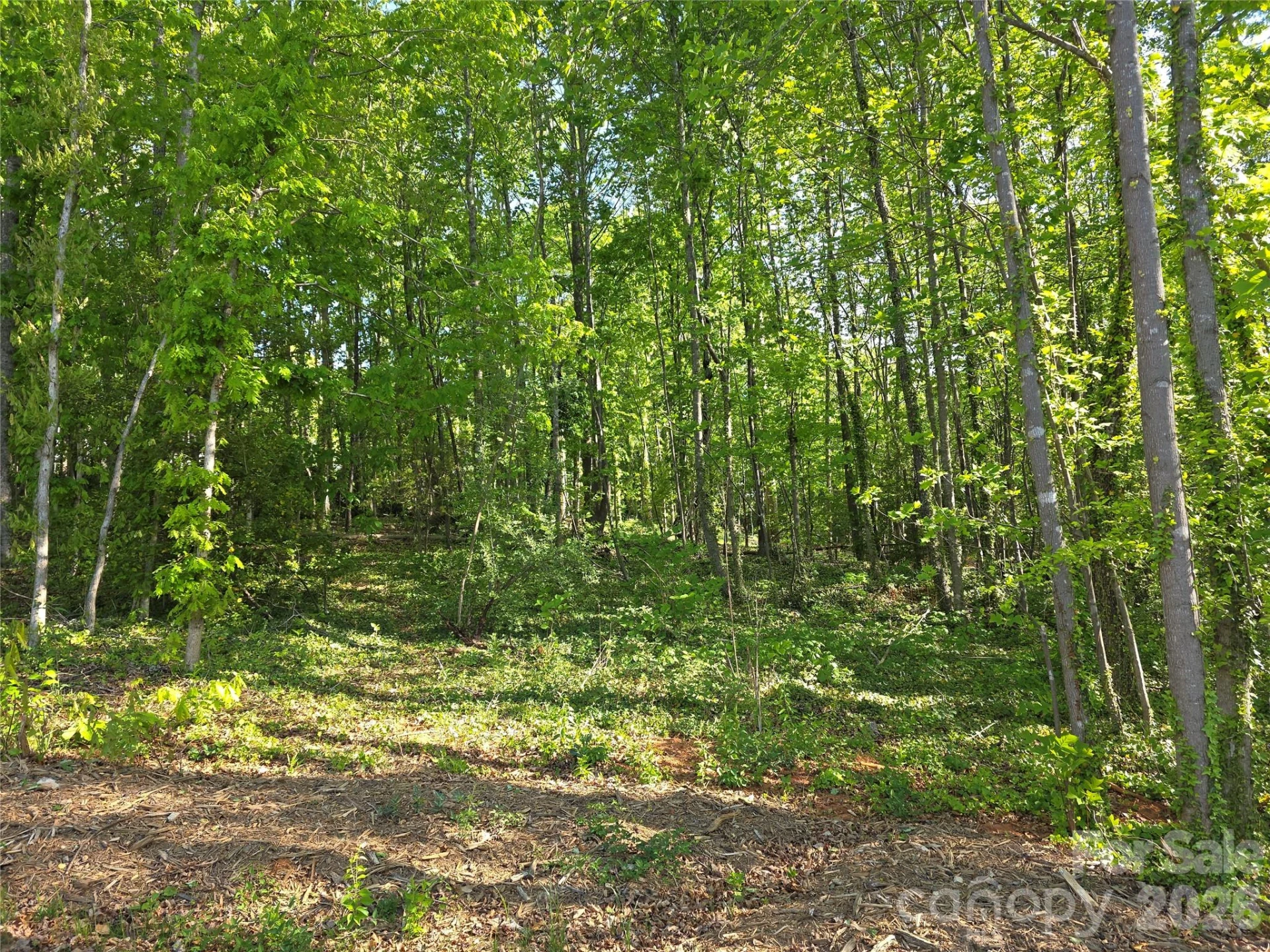 55 Cypress Road - Photo 38