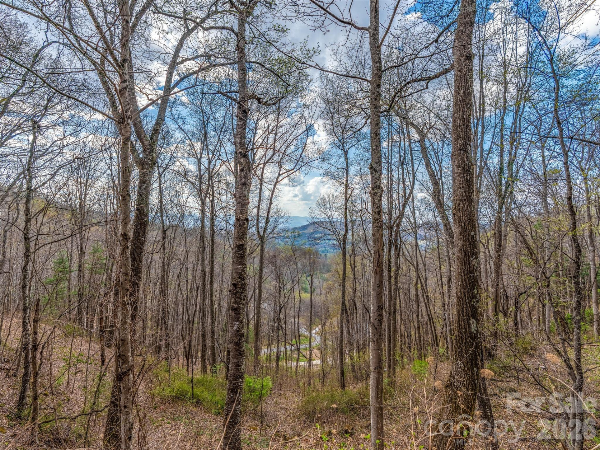 34 Mountain Vista Drive - Photo 15