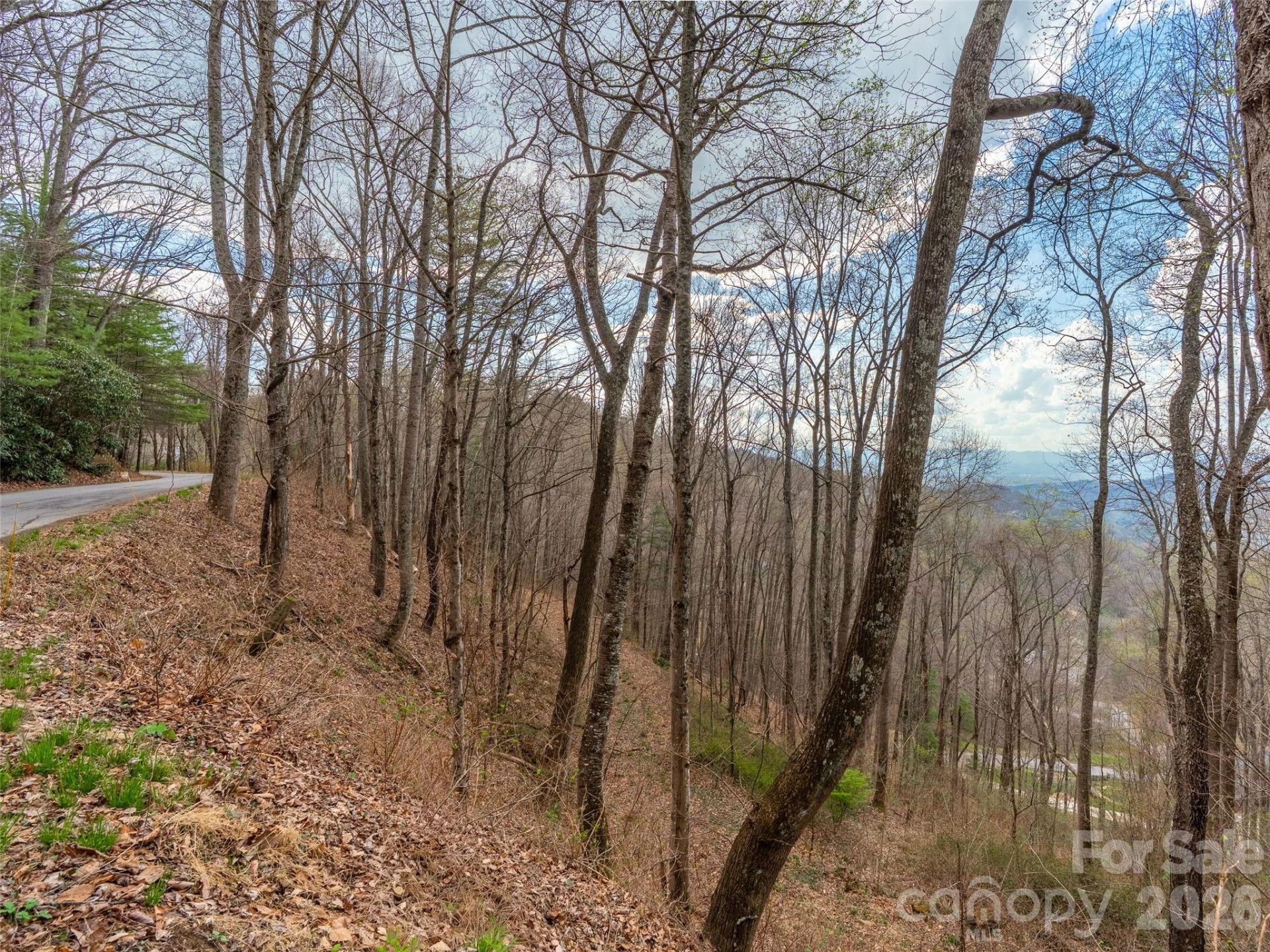 34 Mountain Vista Drive - Photo 16