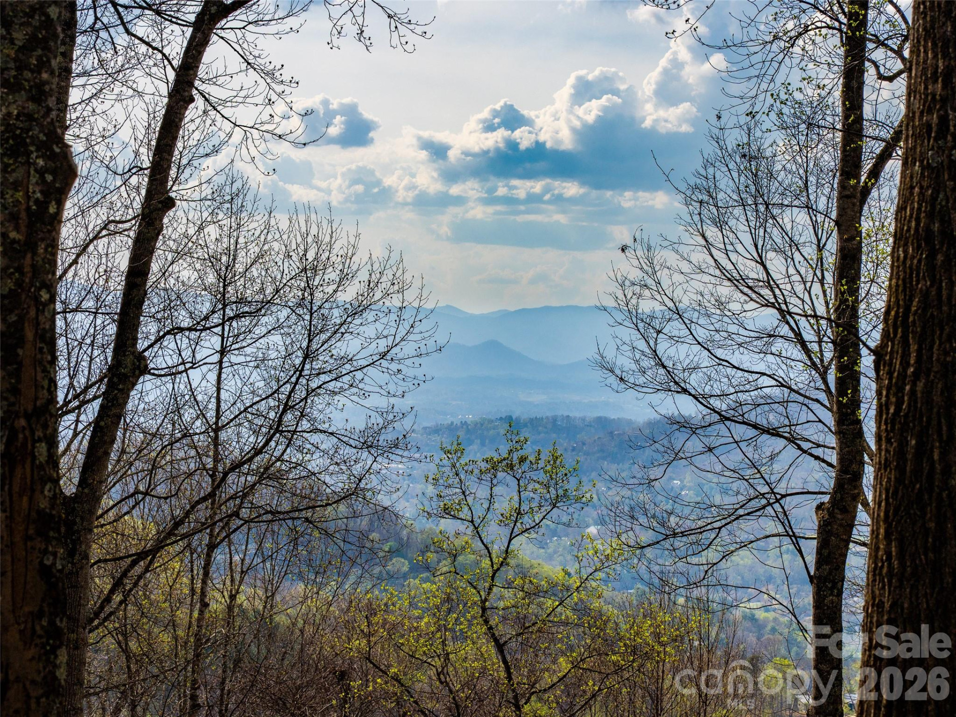 34 Mountain Vista Drive - Photo 3