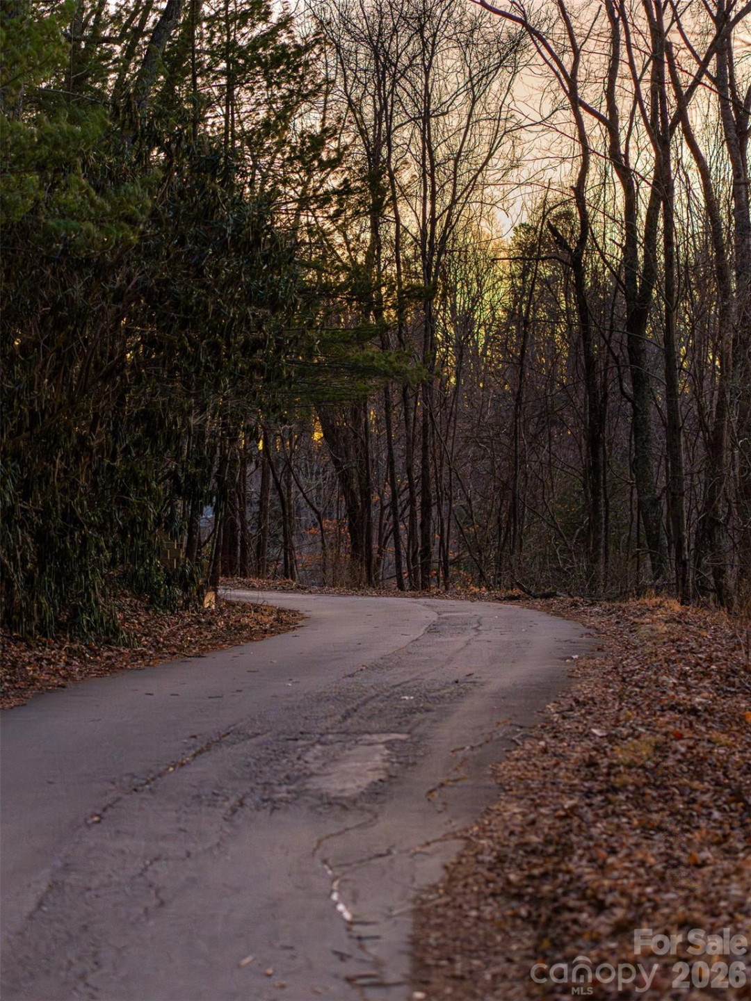 34 Mountain Vista Drive - Photo 21