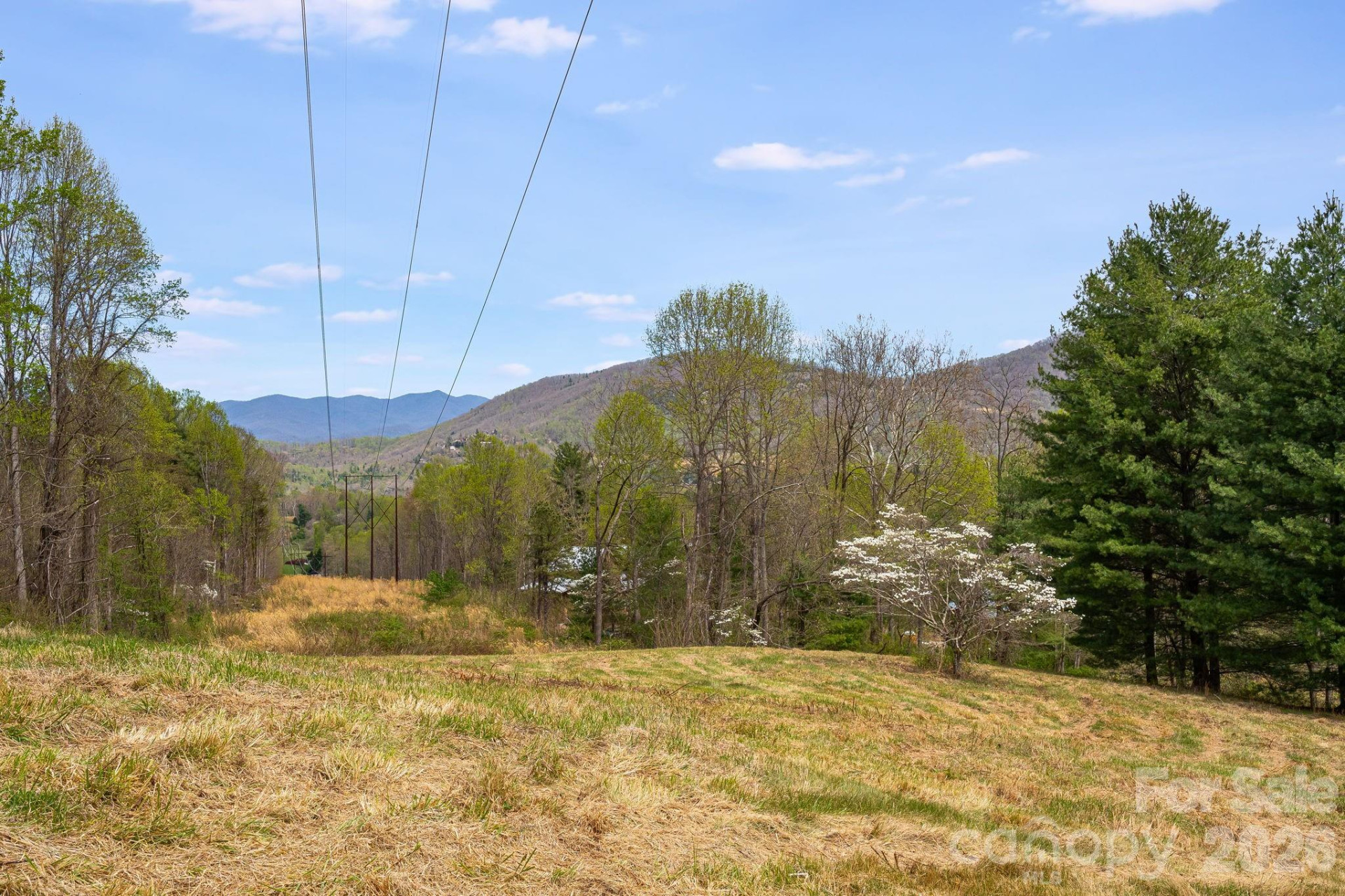 92 Rose Hill Road - Photo 34