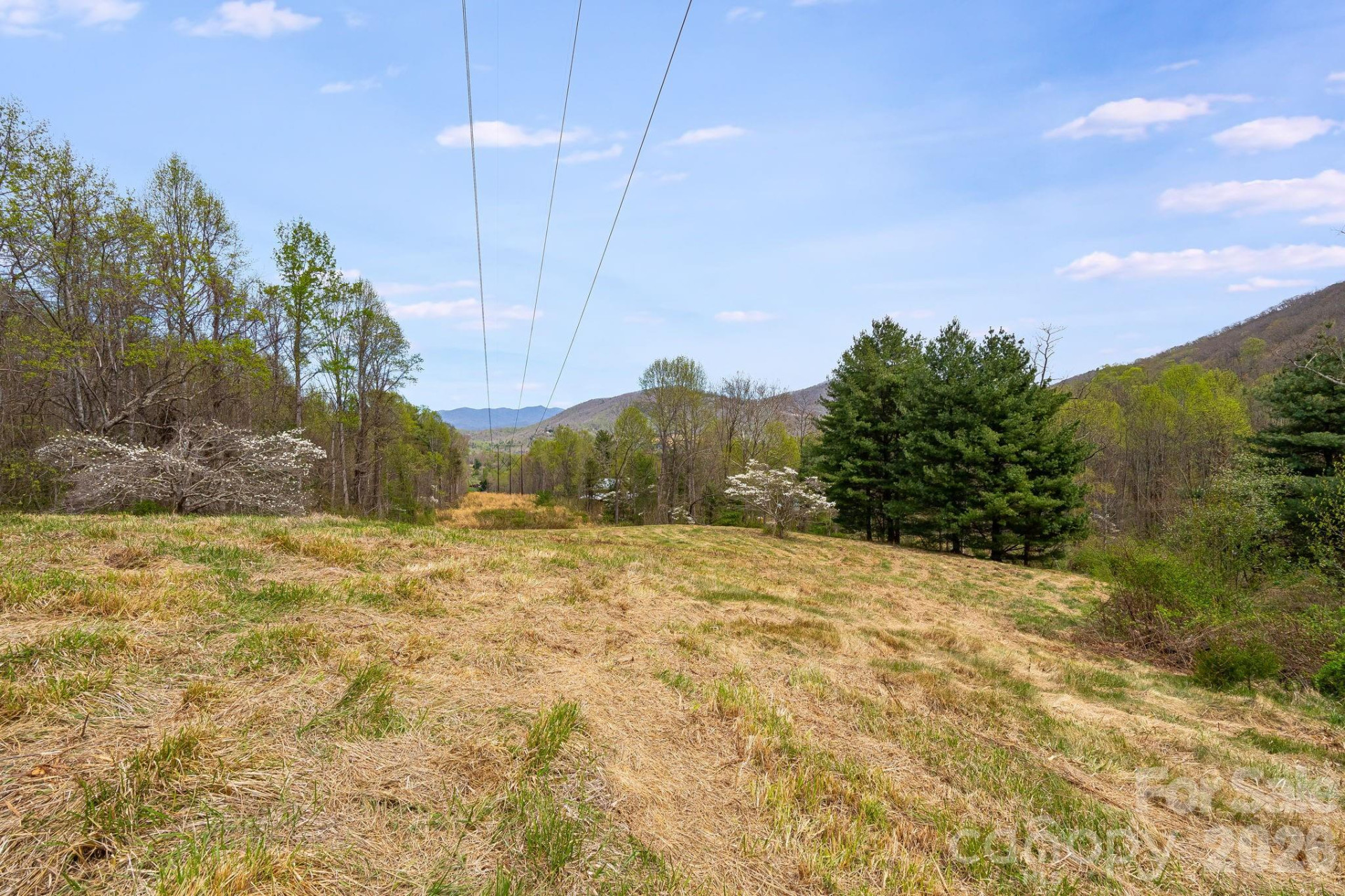 92 Rose Hill Road - Photo 39