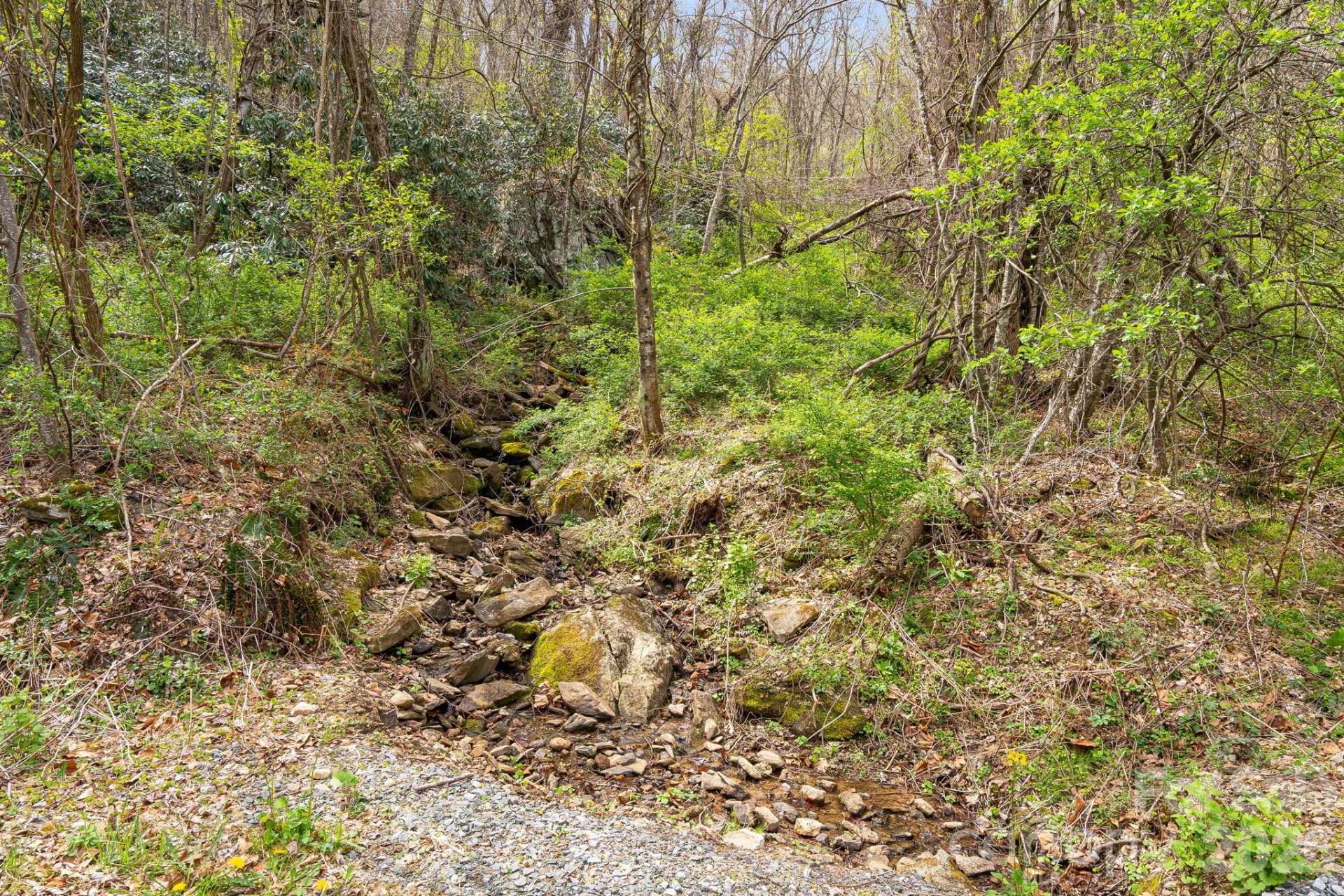 92 Rose Hill Road - Photo 42