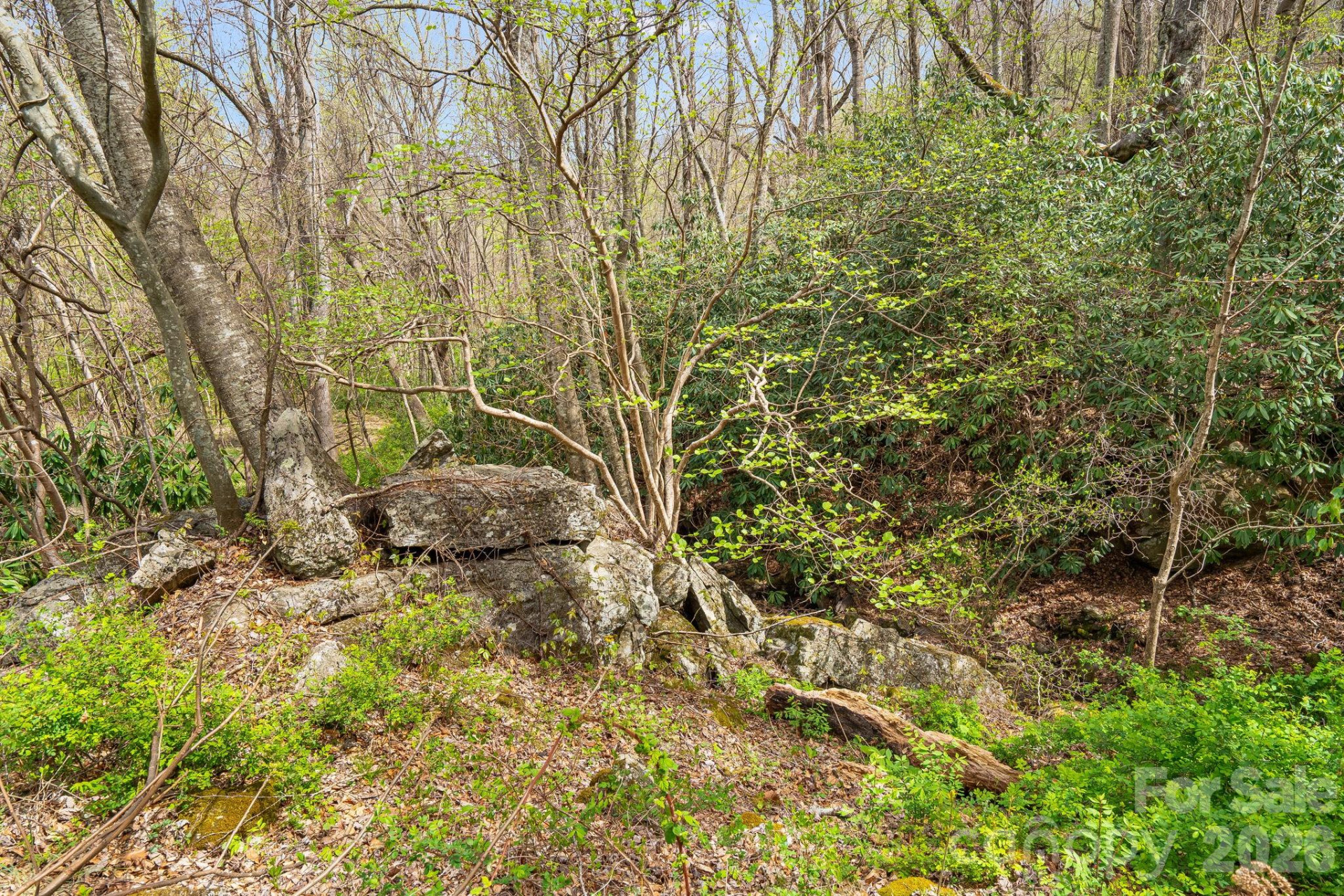 92 Rose Hill Road - Photo 43