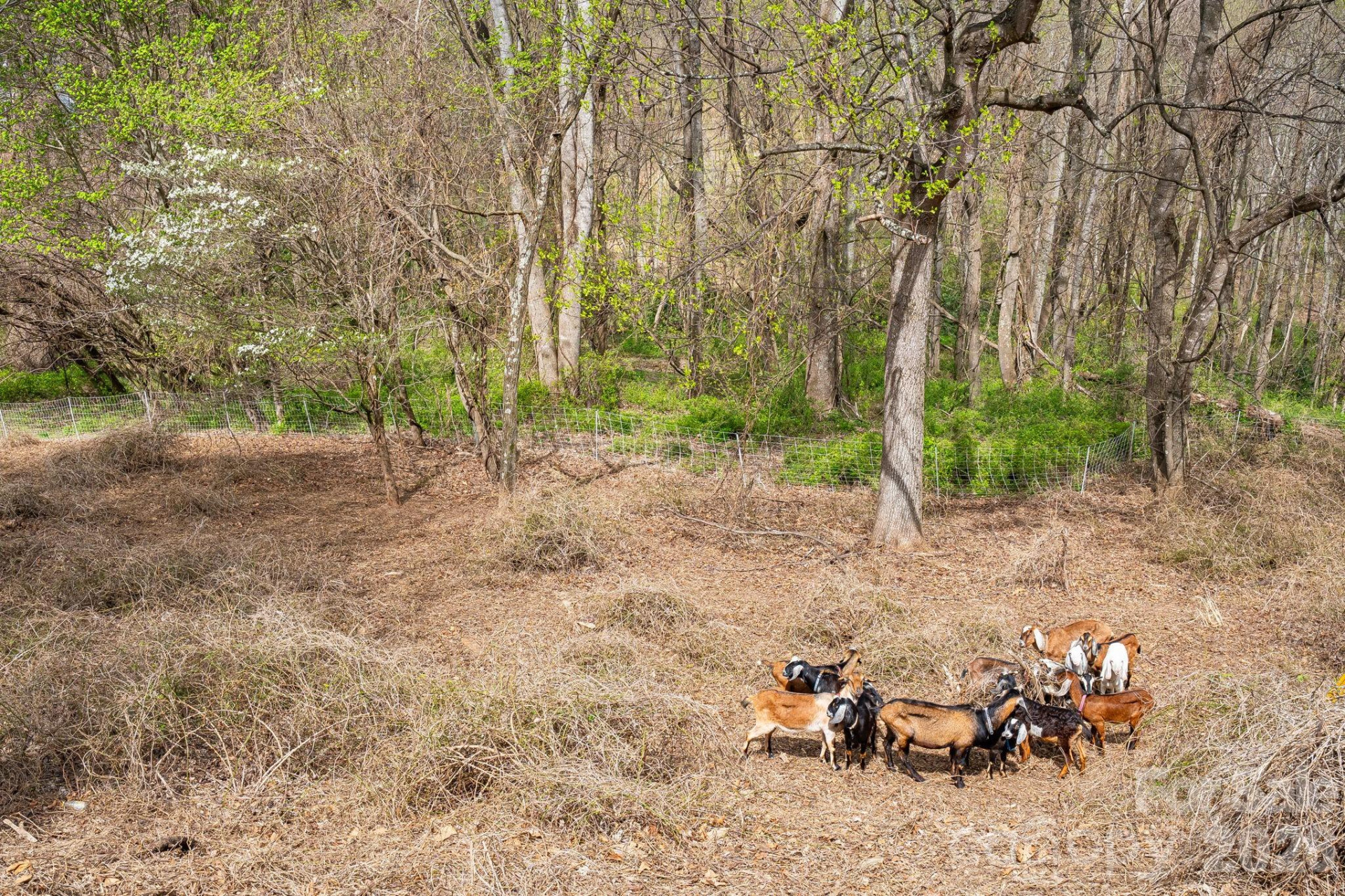 92 Rose Hill Road - Photo 44