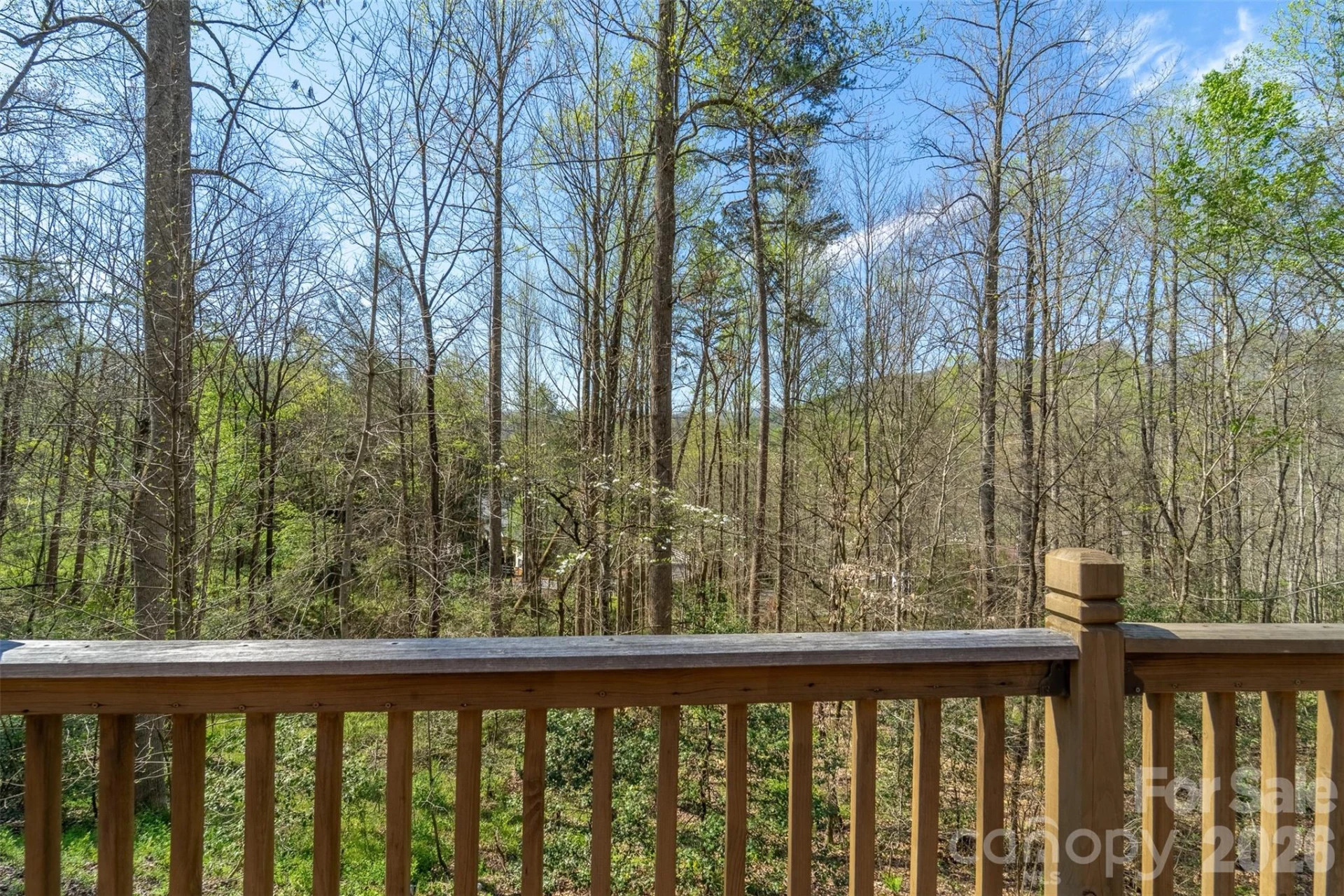201 Windcrest Ridge - Photo 23