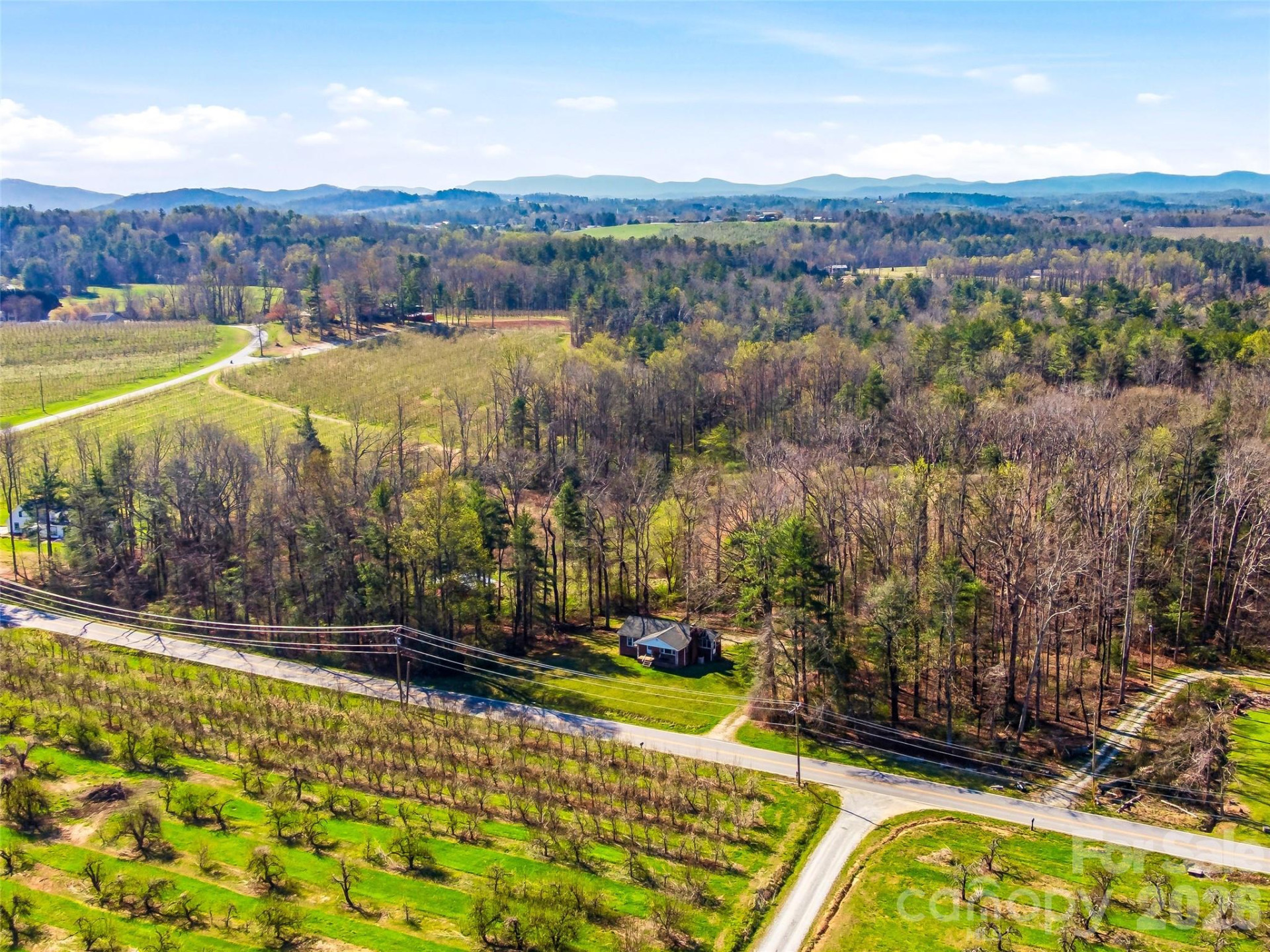 984 Pace Road - Photo 11