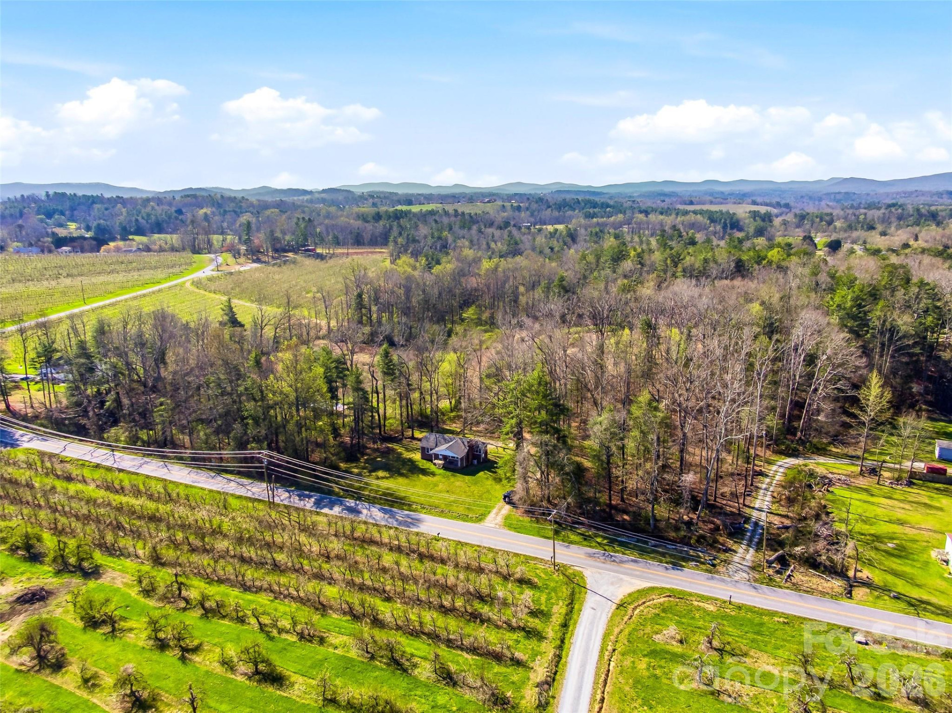 984 Pace Road - Photo 12