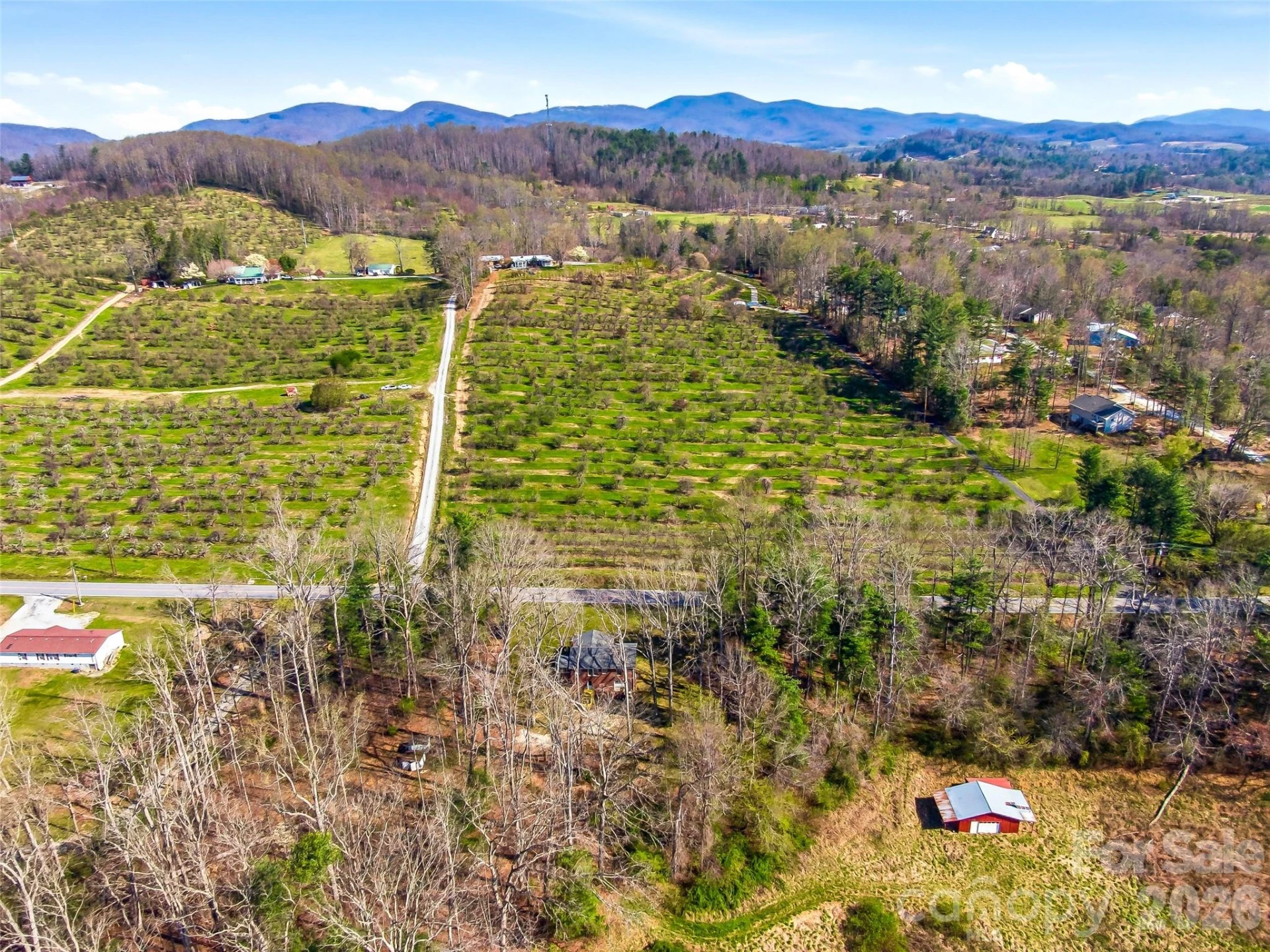 984 Pace Road - Photo 14