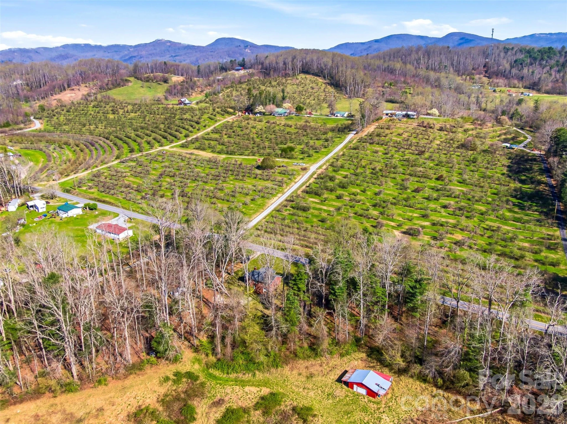 984 Pace Road - Photo 15