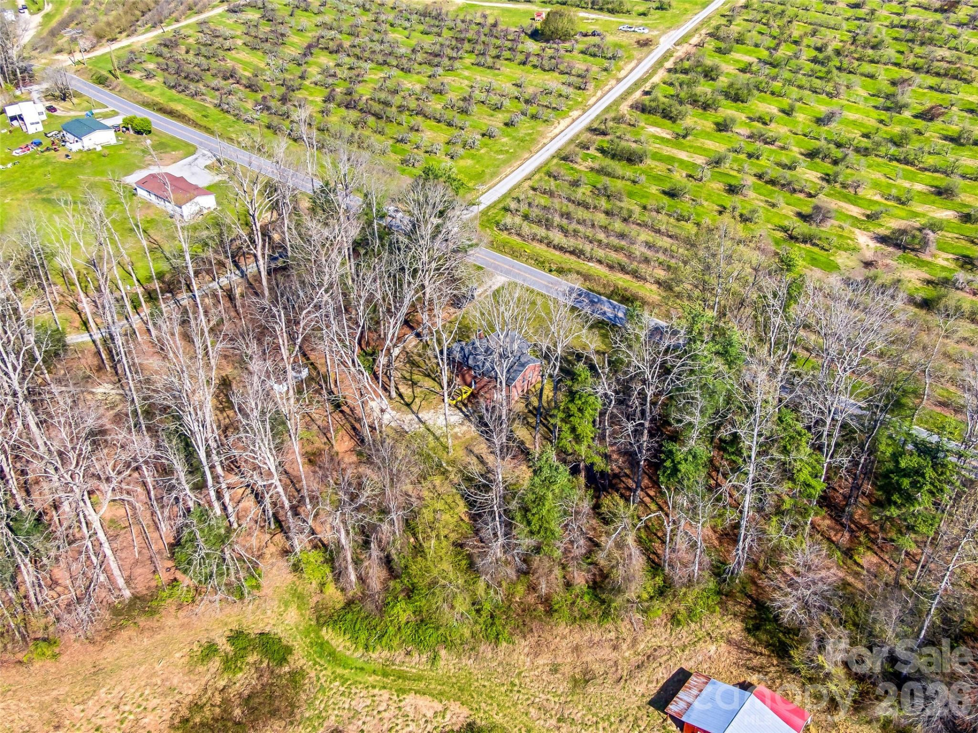 984 Pace Road - Photo 16