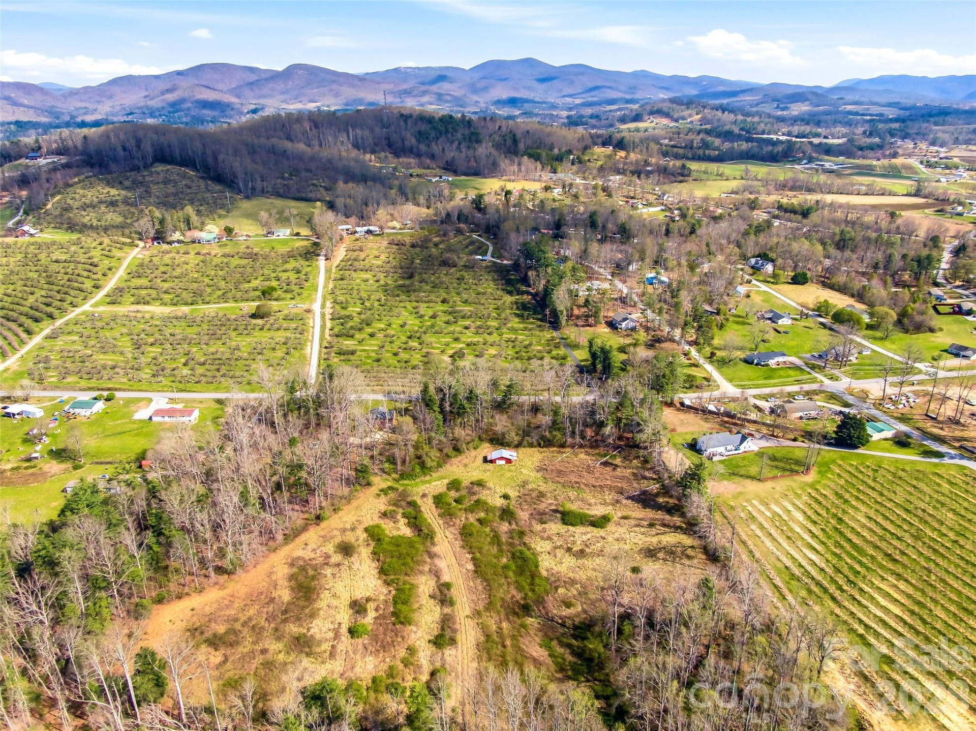 984 Pace Road - Photo 4