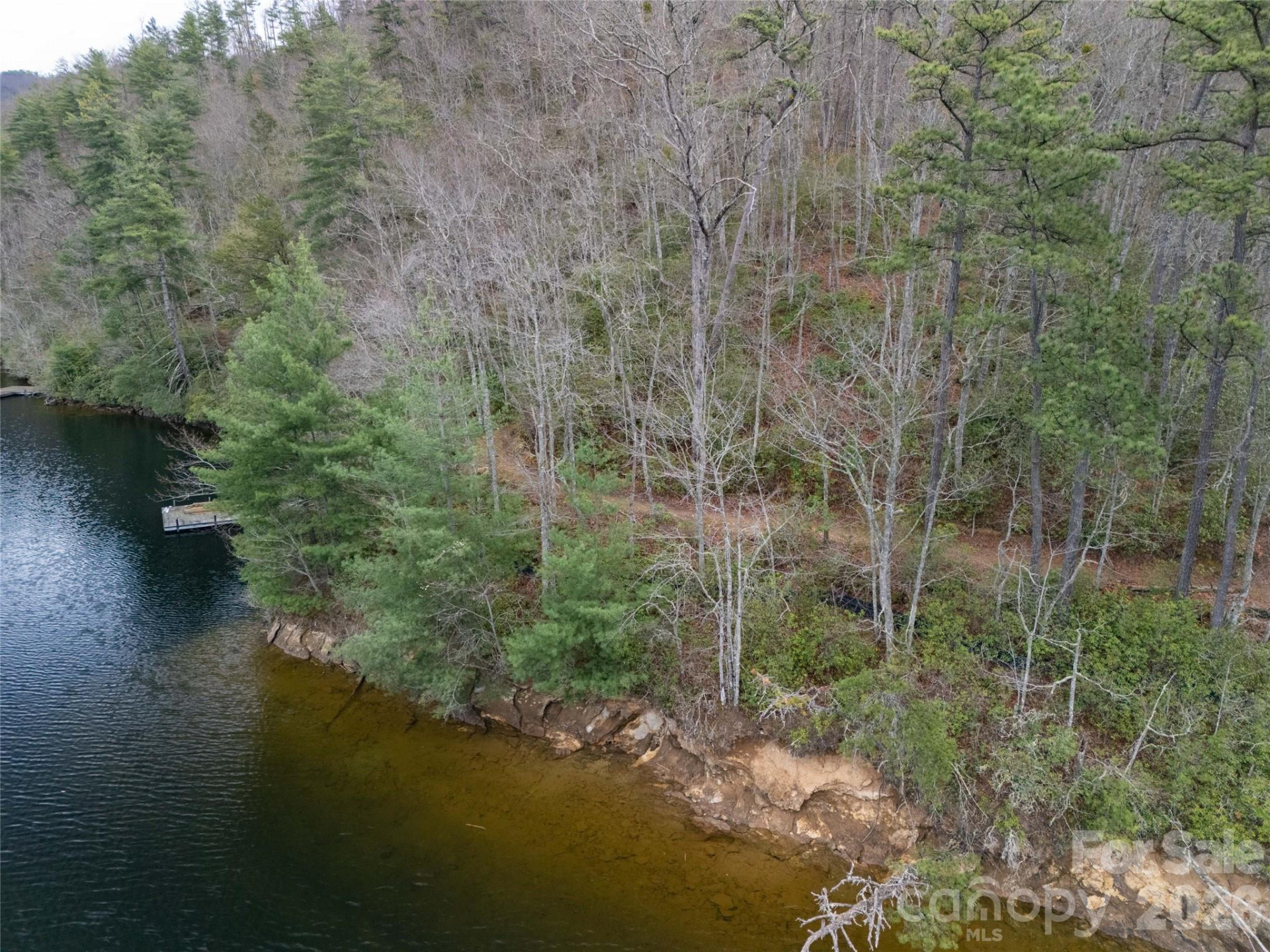 159 Songcatcher Court #159 - Photo 12