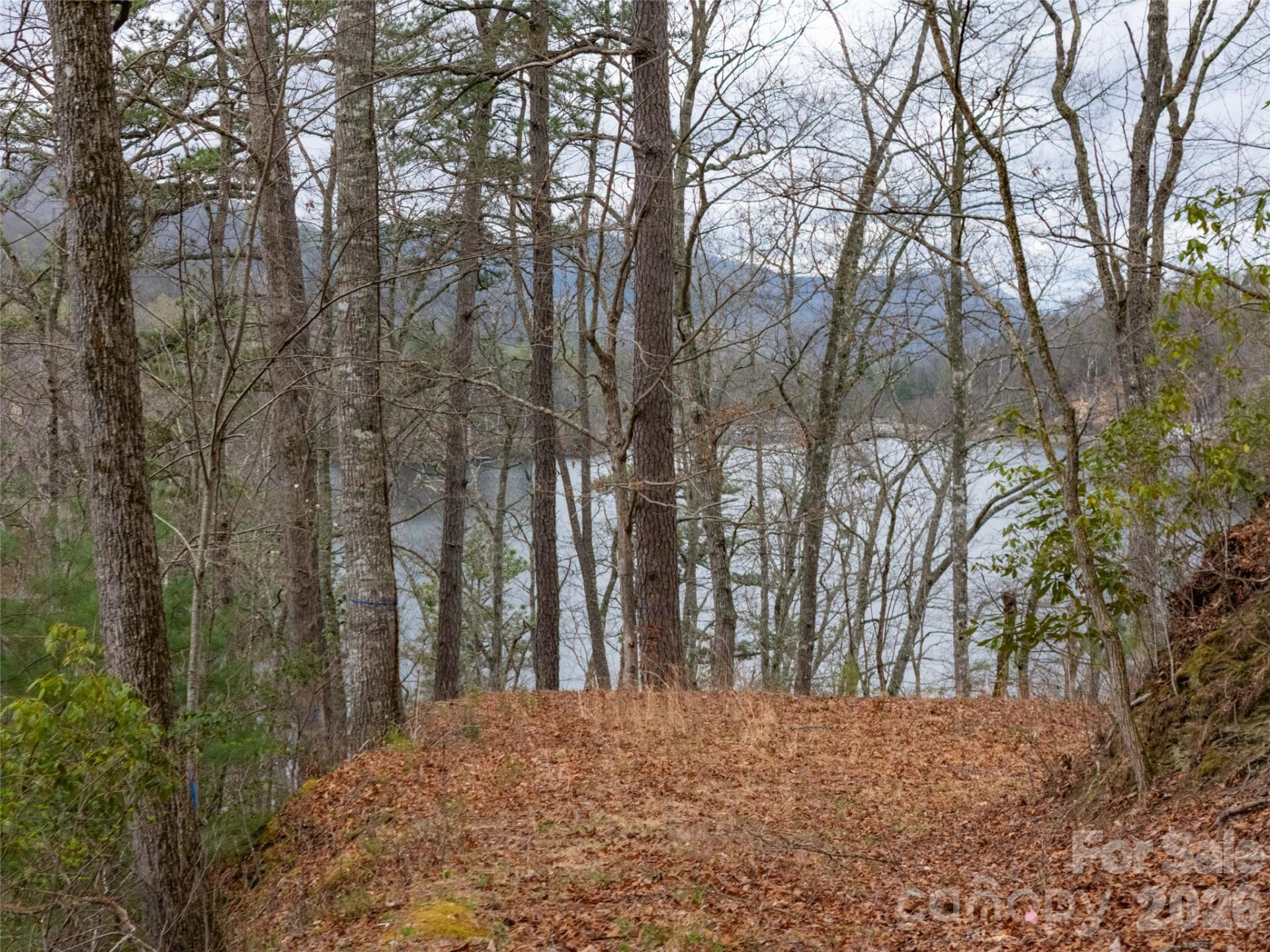 159 Songcatcher Court #159 - Photo 14