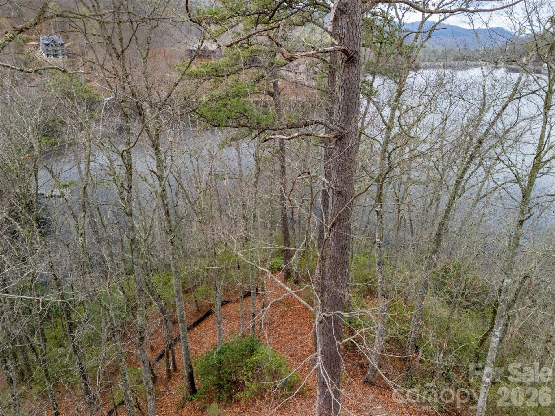 159 Songcatcher Court #159 - Photo 15