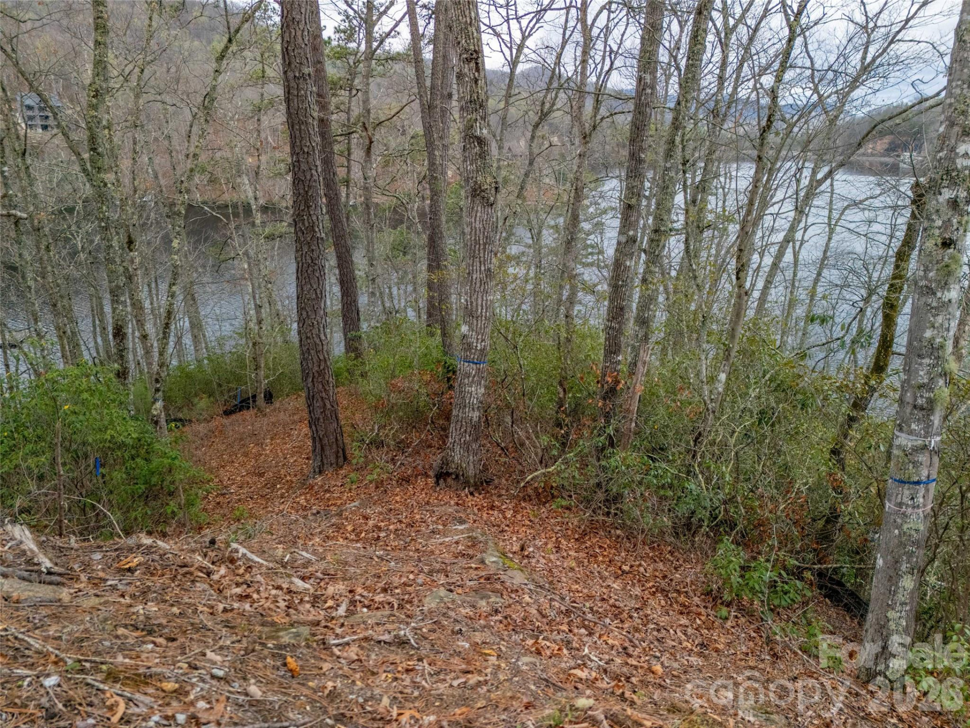 159 Songcatcher Court #159 - Photo 17