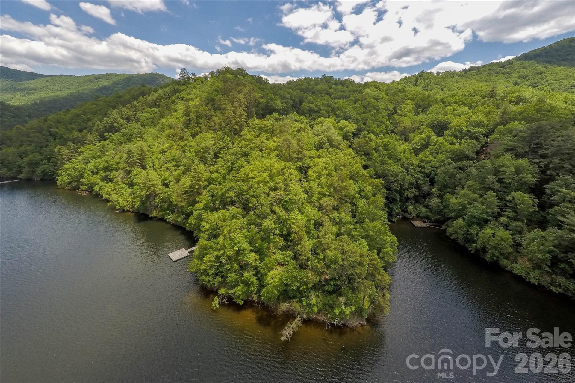 159 Songcatcher Court #159 - Photo 3