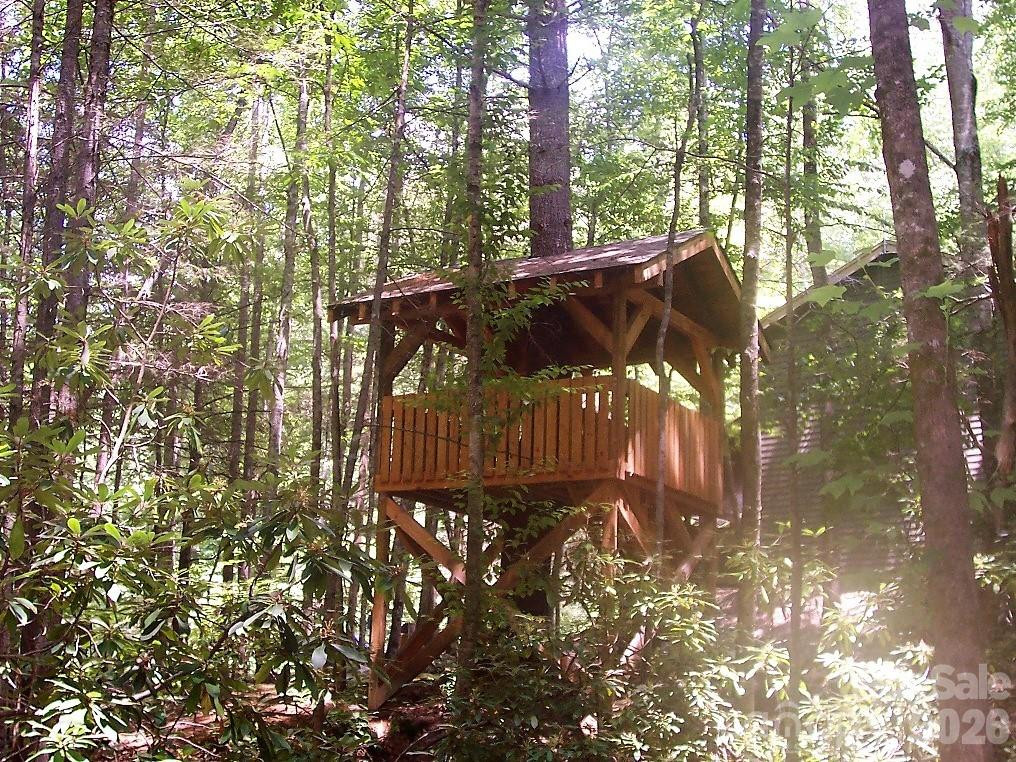 159 Songcatcher Court #159 - Photo 29