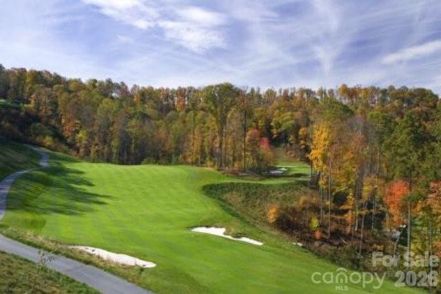 159 Songcatcher Court #159 - Photo 41