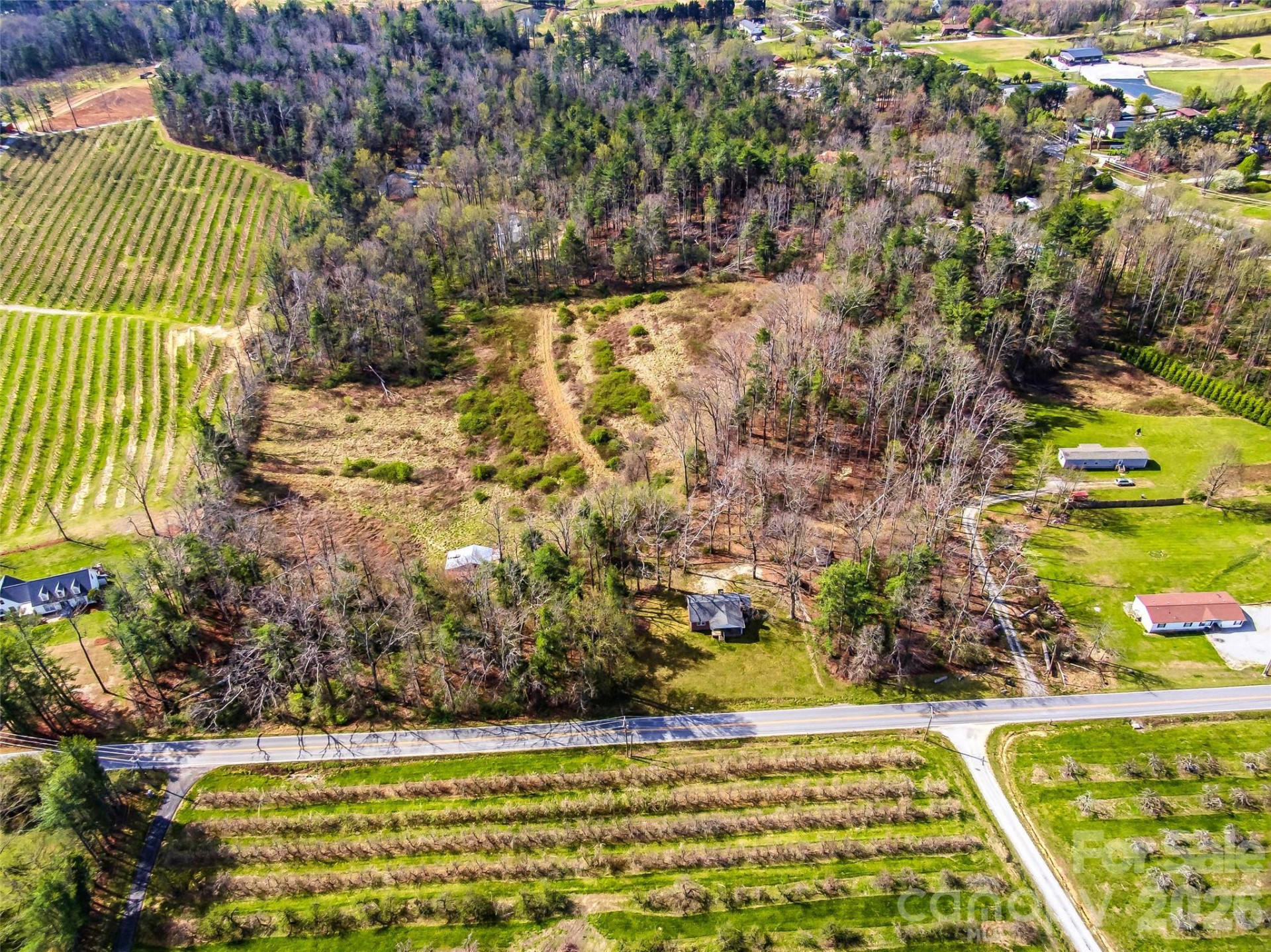 984 Pace Road - Photo 3